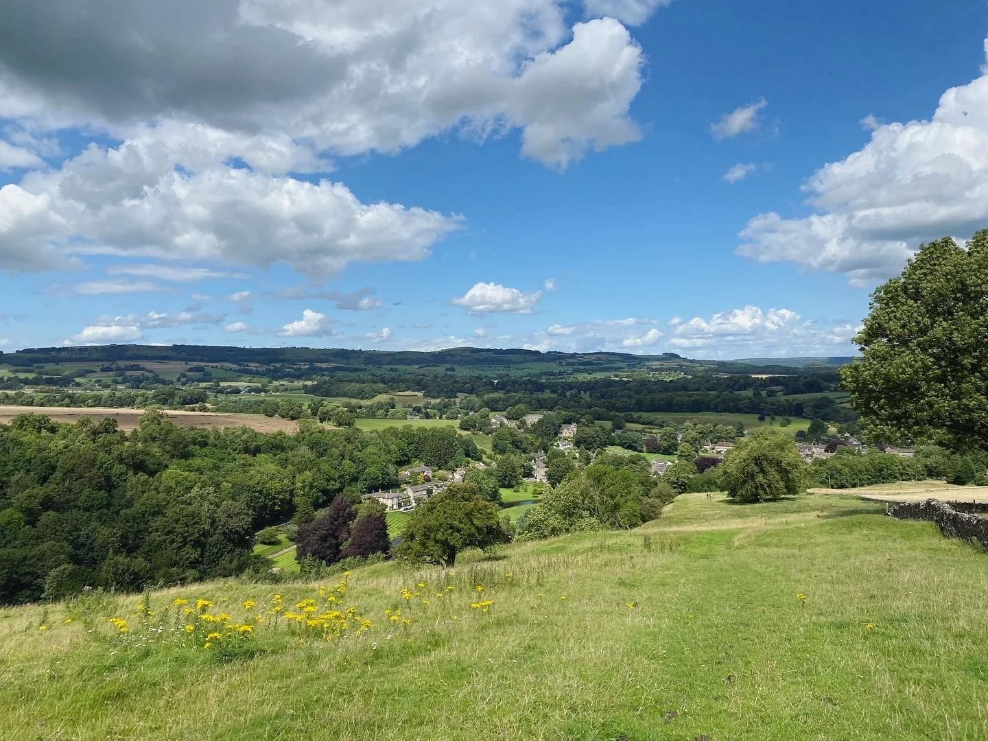 Trails and Dales and Mines