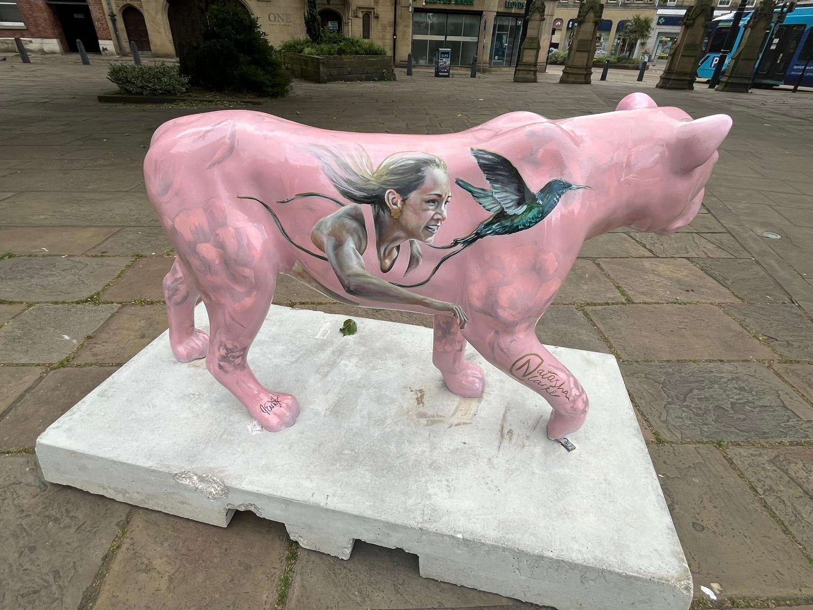 Sheffield New Faces (lion hunting)
