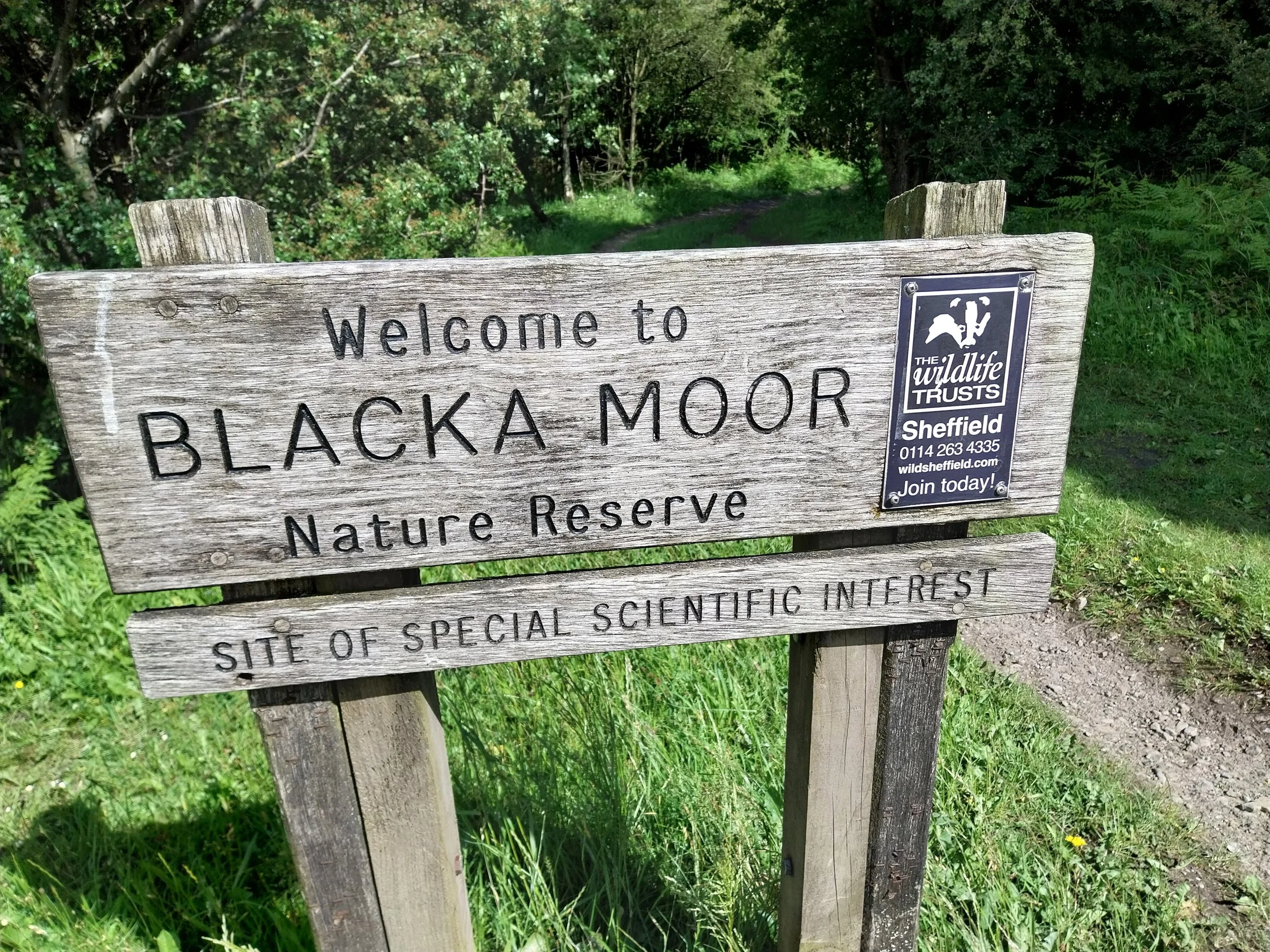 Totley Moor and Blacka Woods Evening Walk
