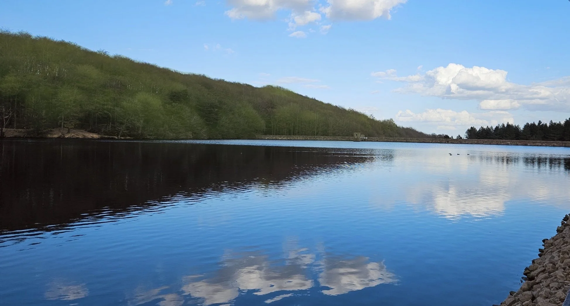 Leisurely(ish) Linacre - Evening