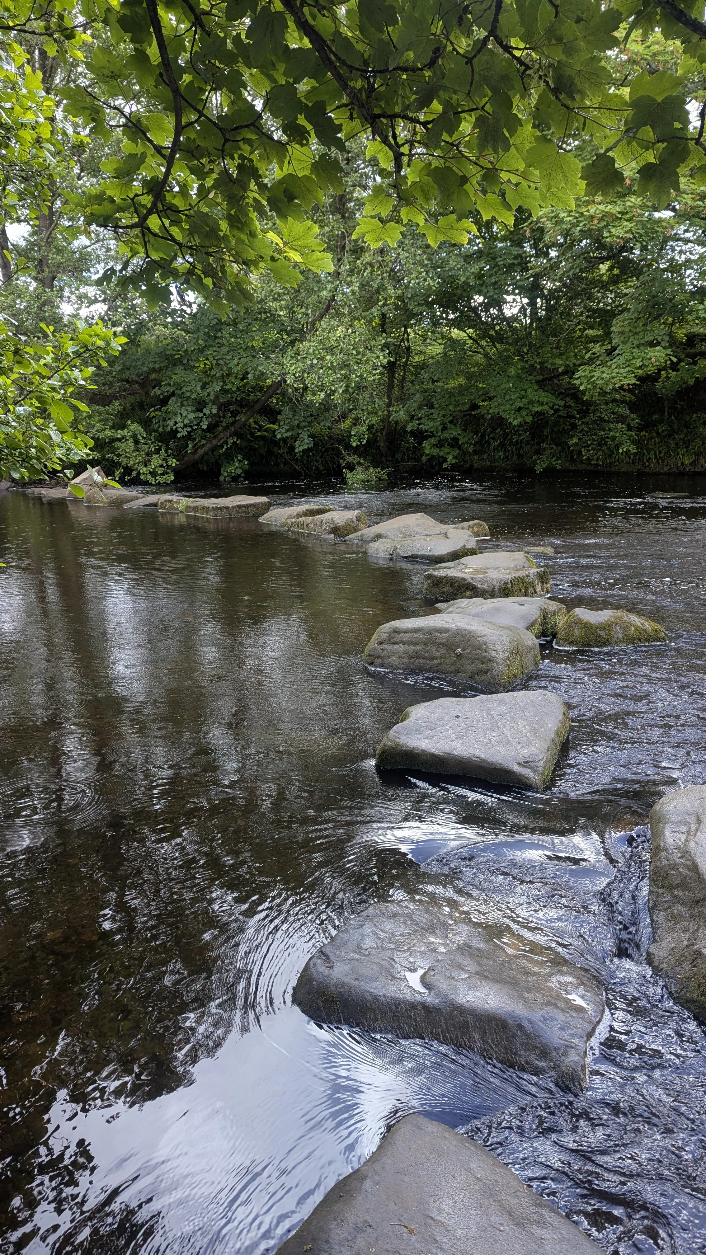 Walk to the Hathersage Stepping Stones