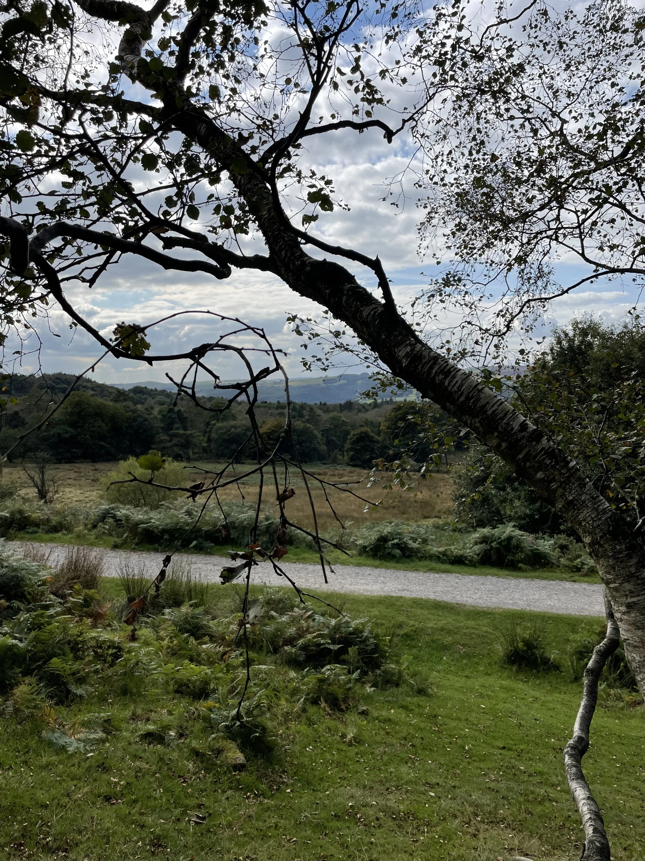 Ringalow to Longshaw