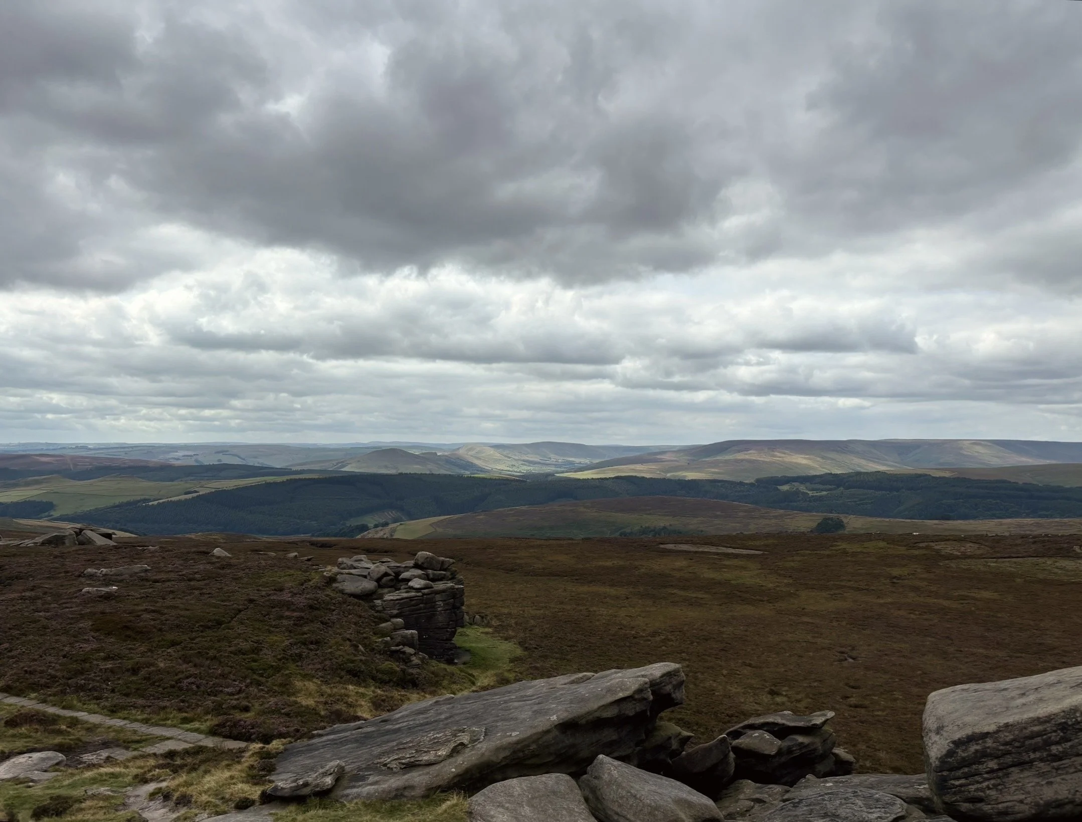 The Quest for the Wooden Curlew