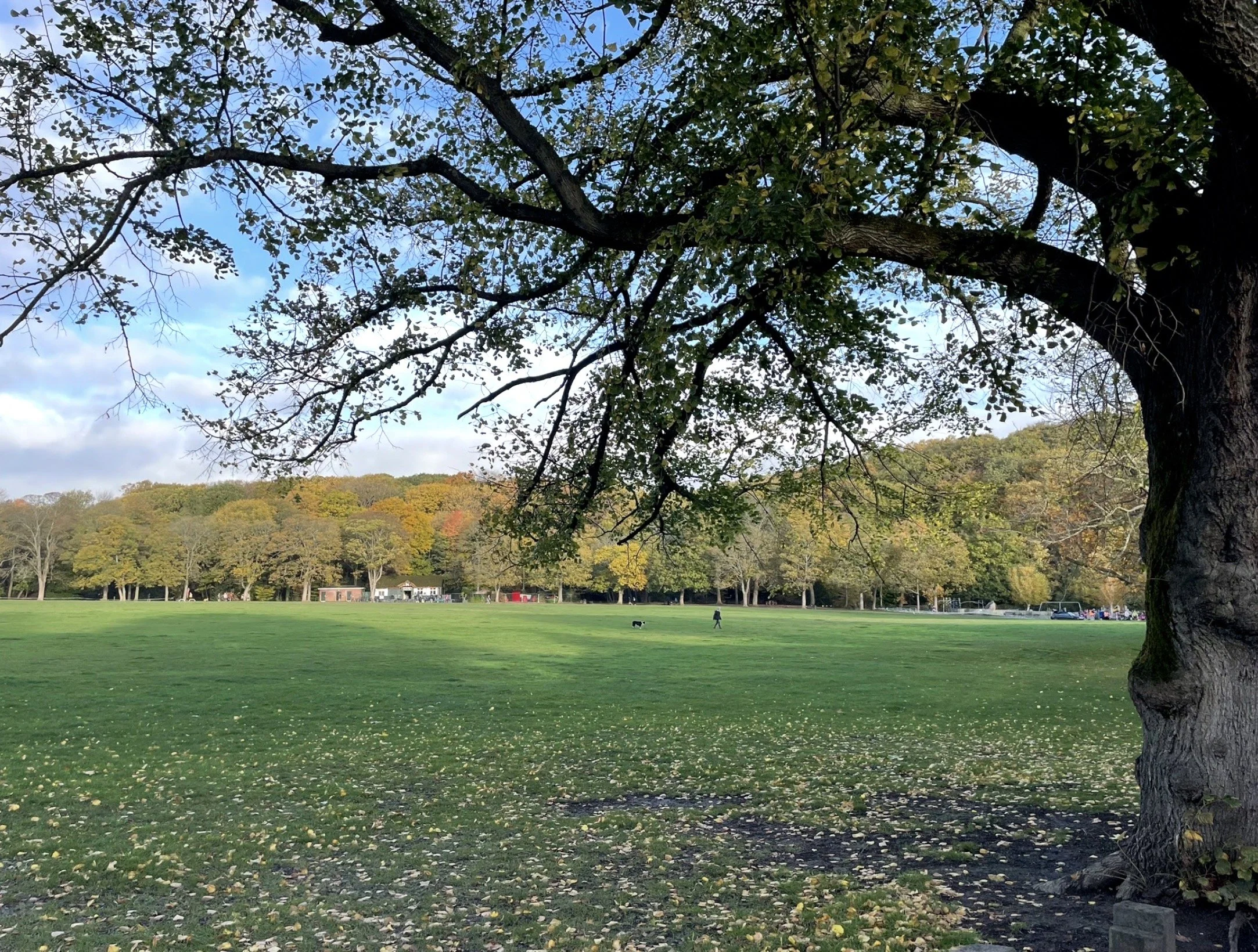 Sheffield Round Walk West