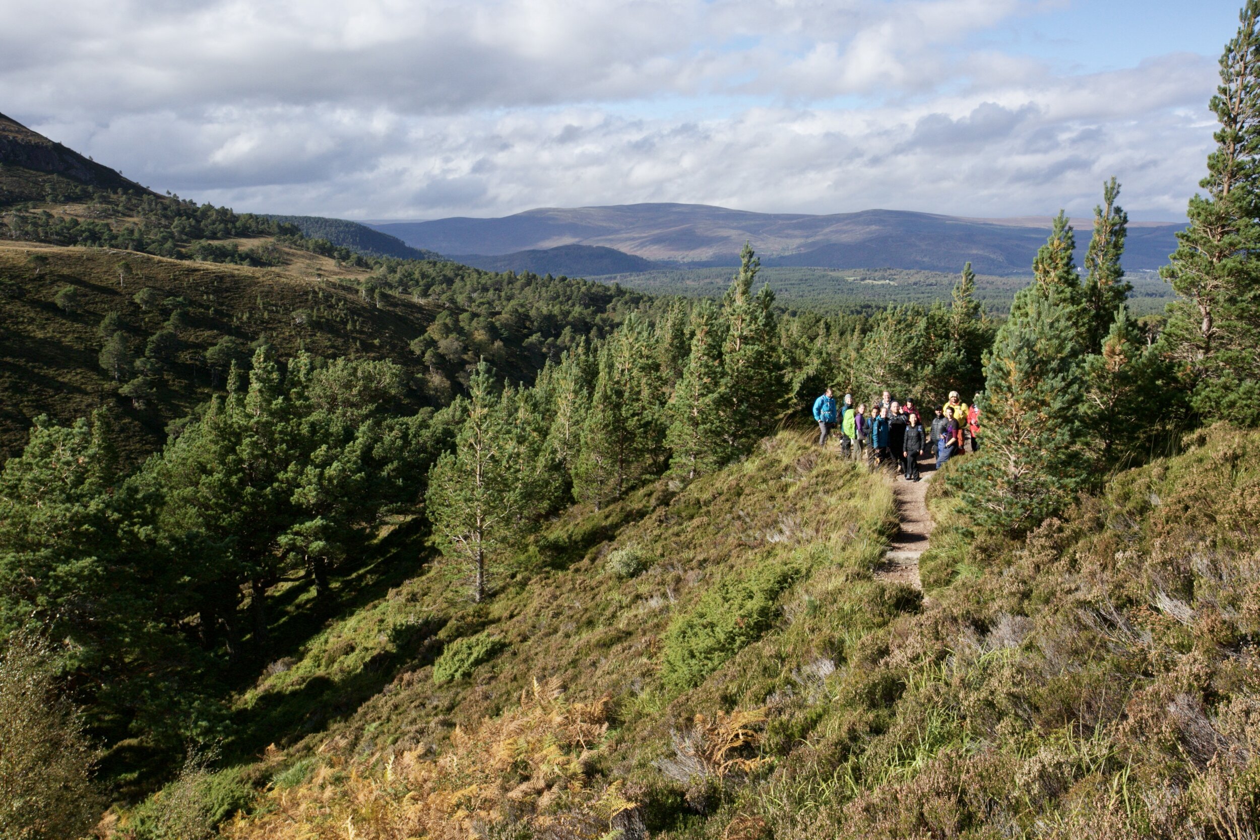 Cairngorms: September 2021