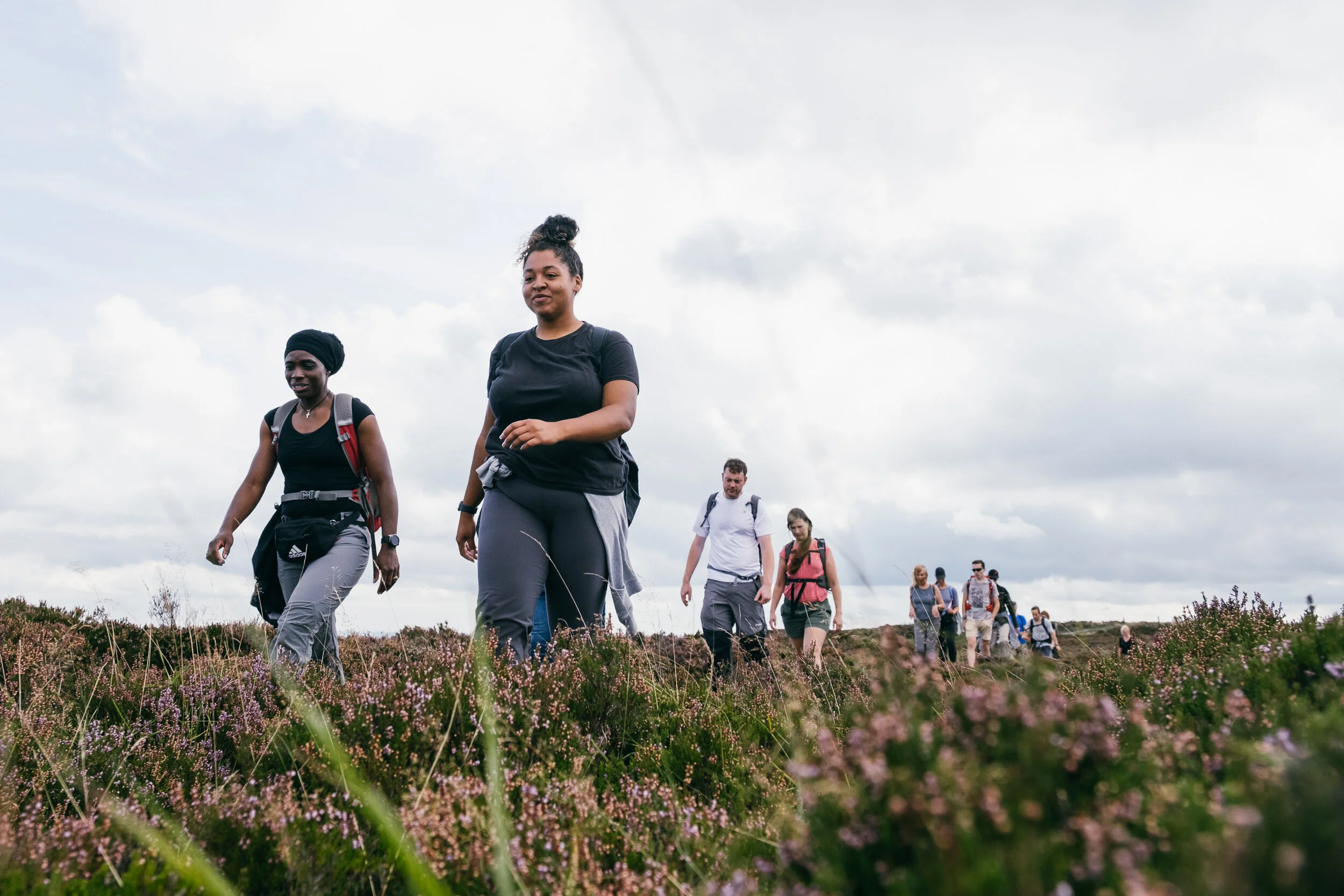 Walking Festival by Sam McQueen