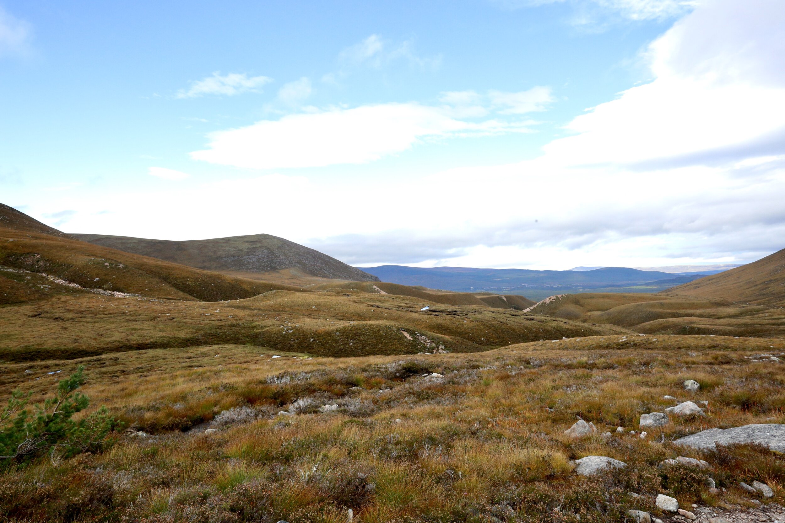 Cairngorms: September 2021
