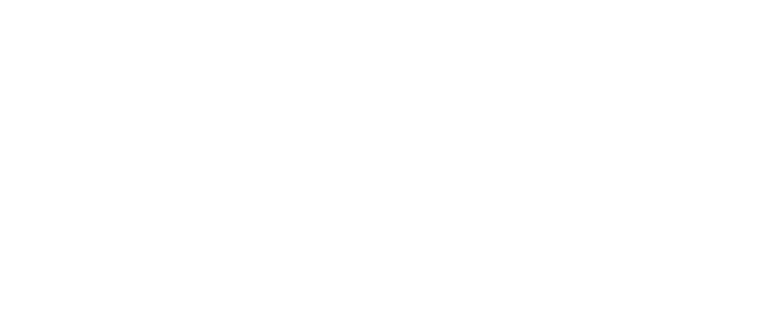 Plugr logo-02 copyW.png