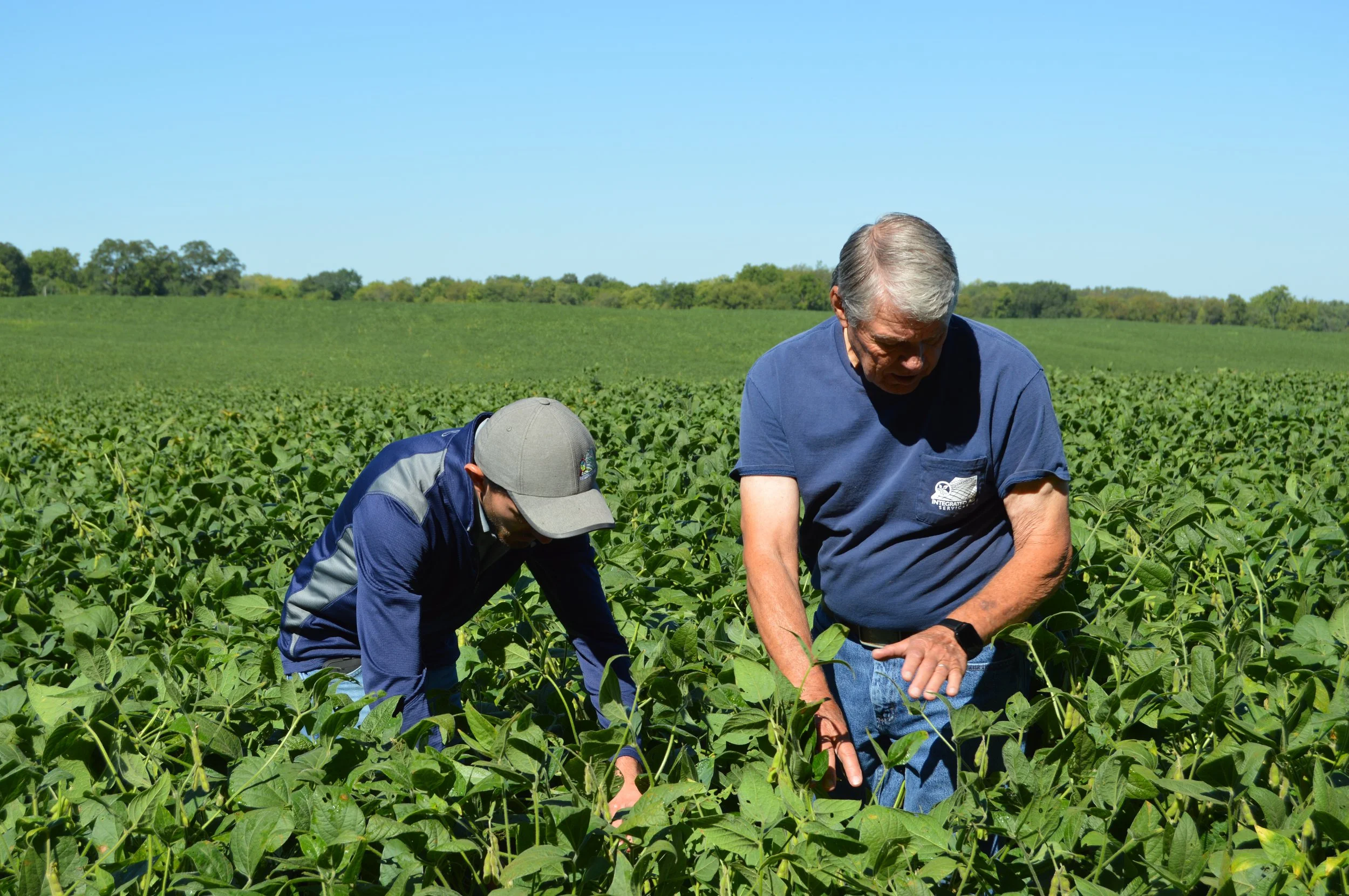 Integrated Ag Services
