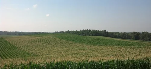 About — Integrated Ag Services