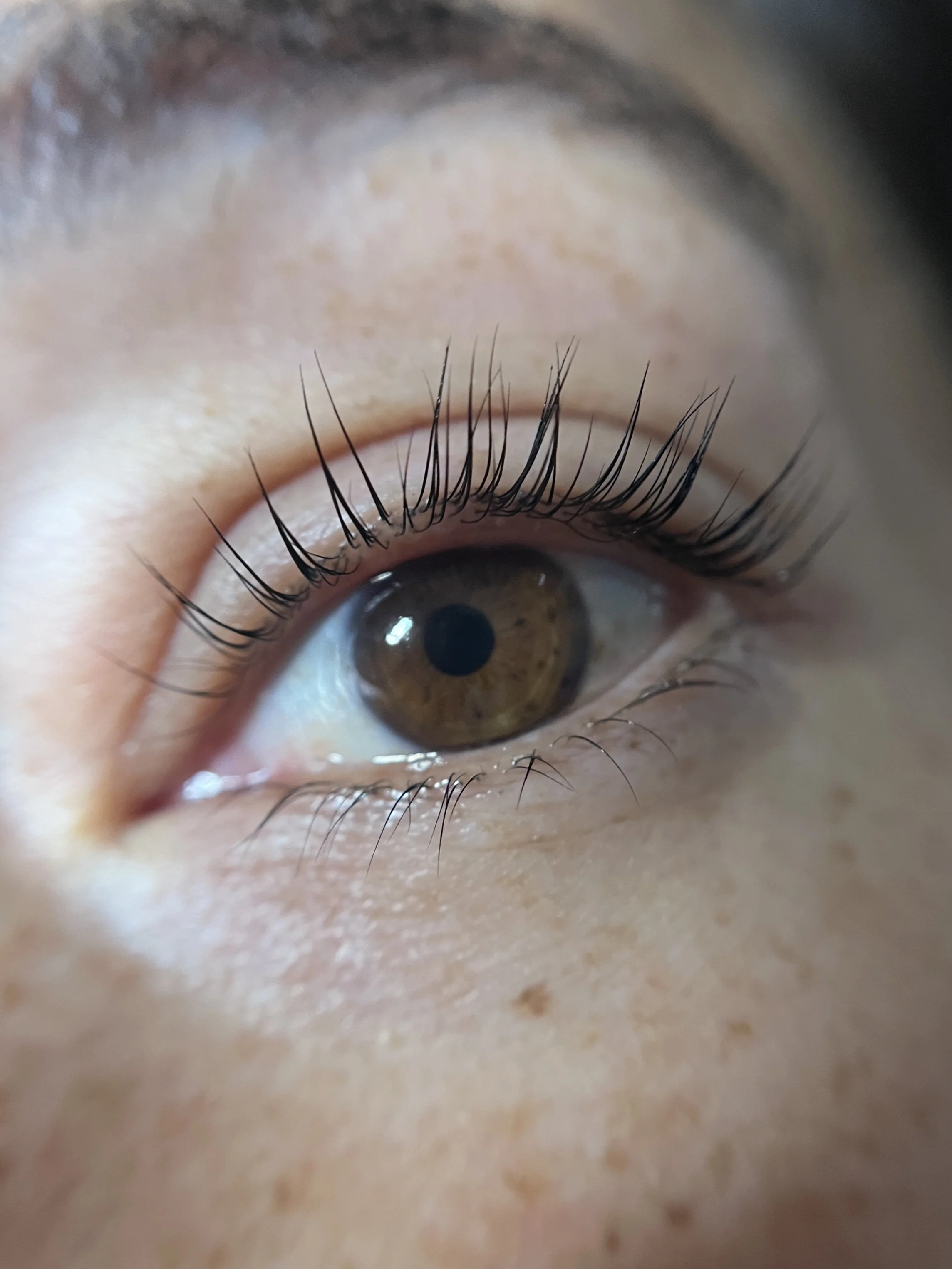 Close-up of a human eye with brown iris and long eyelashes.