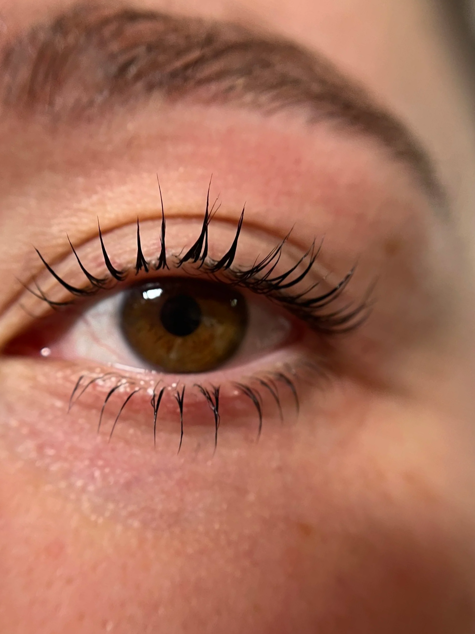 Upper and lower lash lift with black tint