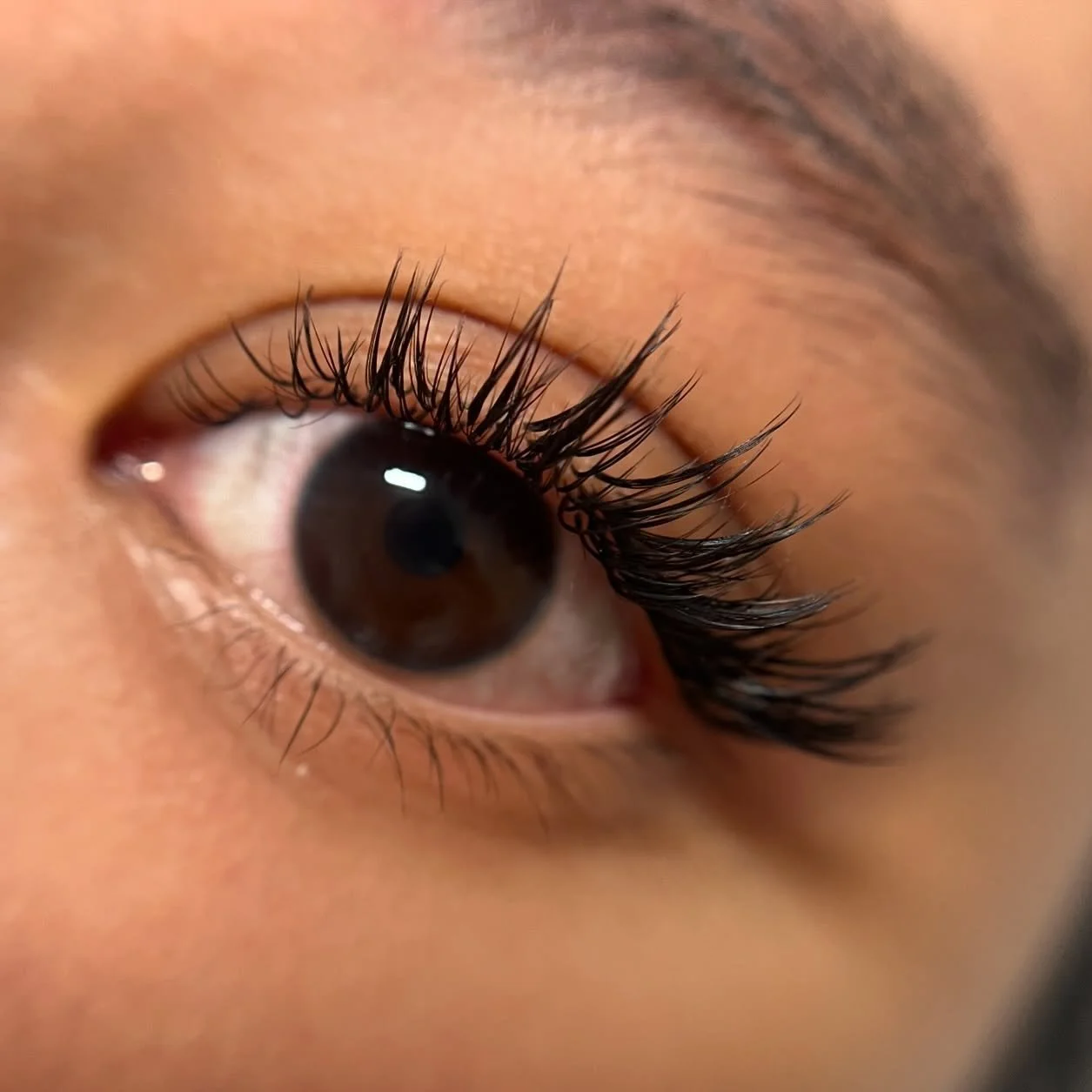 The perfect amount of sprinkled wispiness, even for eyes that have the shortest of lashes and sparse lash lines ✨