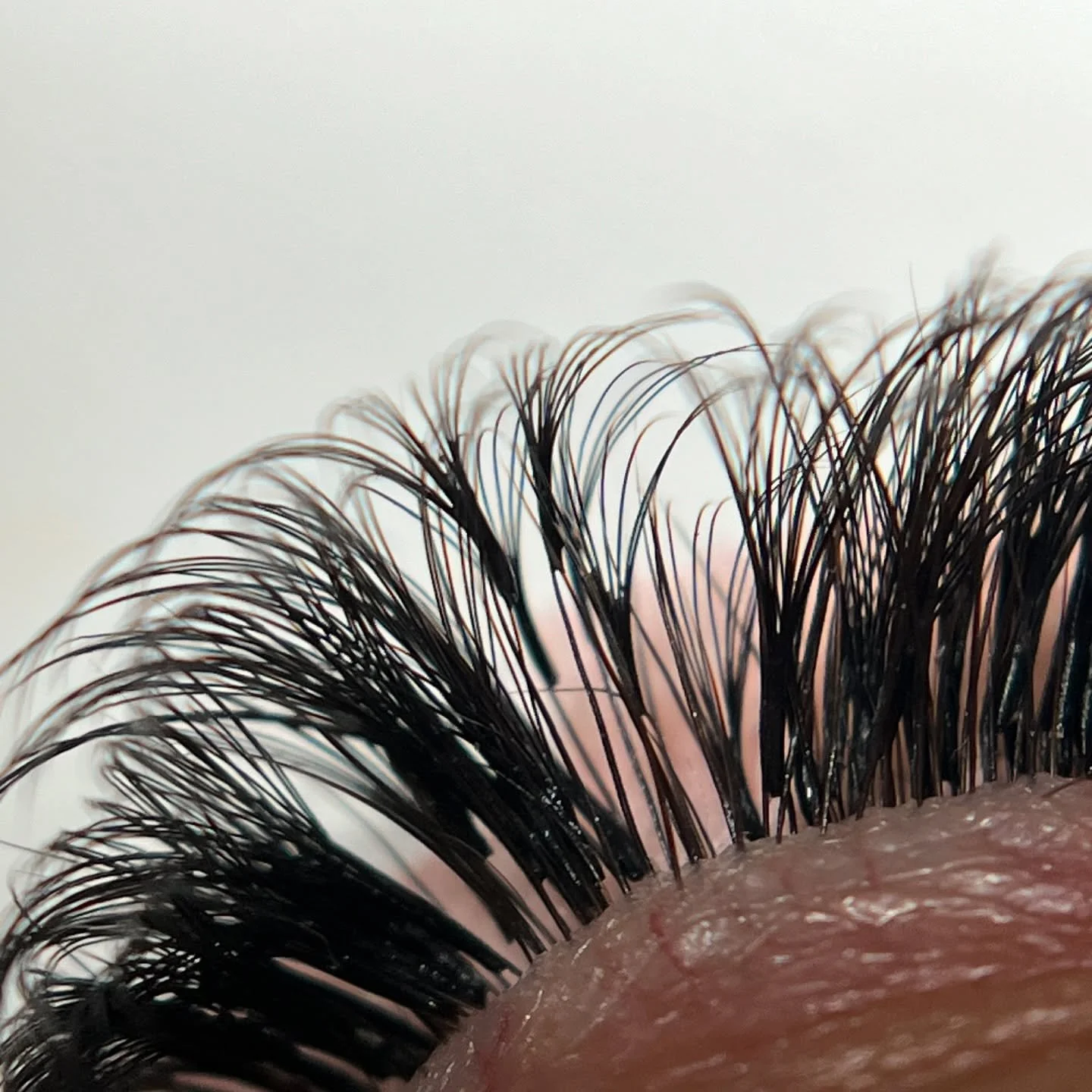 These tiny tiny lash fans (in the middle of this pic) have grown out exactly the way I wanted after a couple weeks!

At the time of placing these shorties, this area had lots of new lash growth. 

Attaching much shorter lengths means that once they a