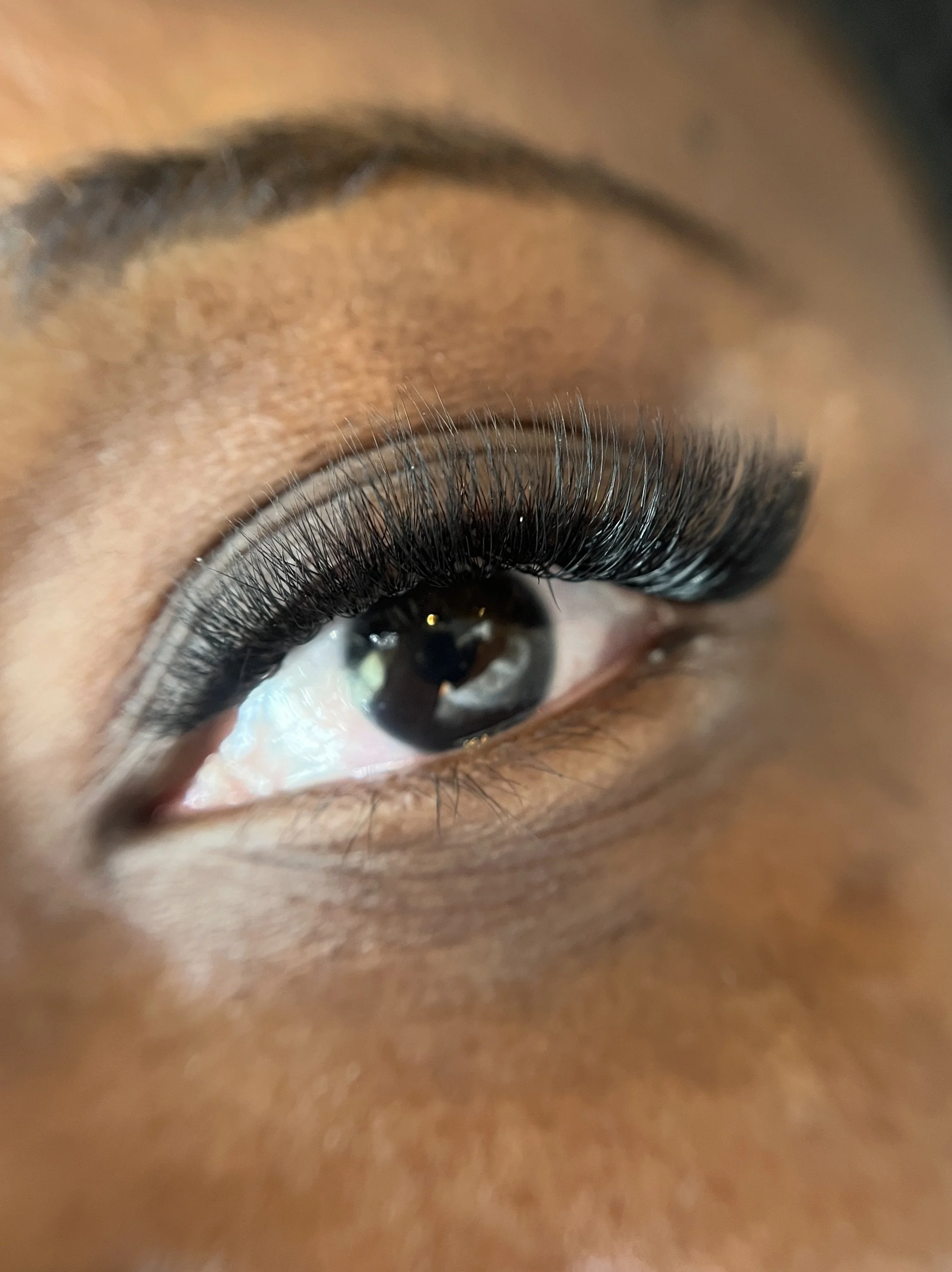 Close-up of a human eye with long, dark eyelashes and well-defined eyebrows.