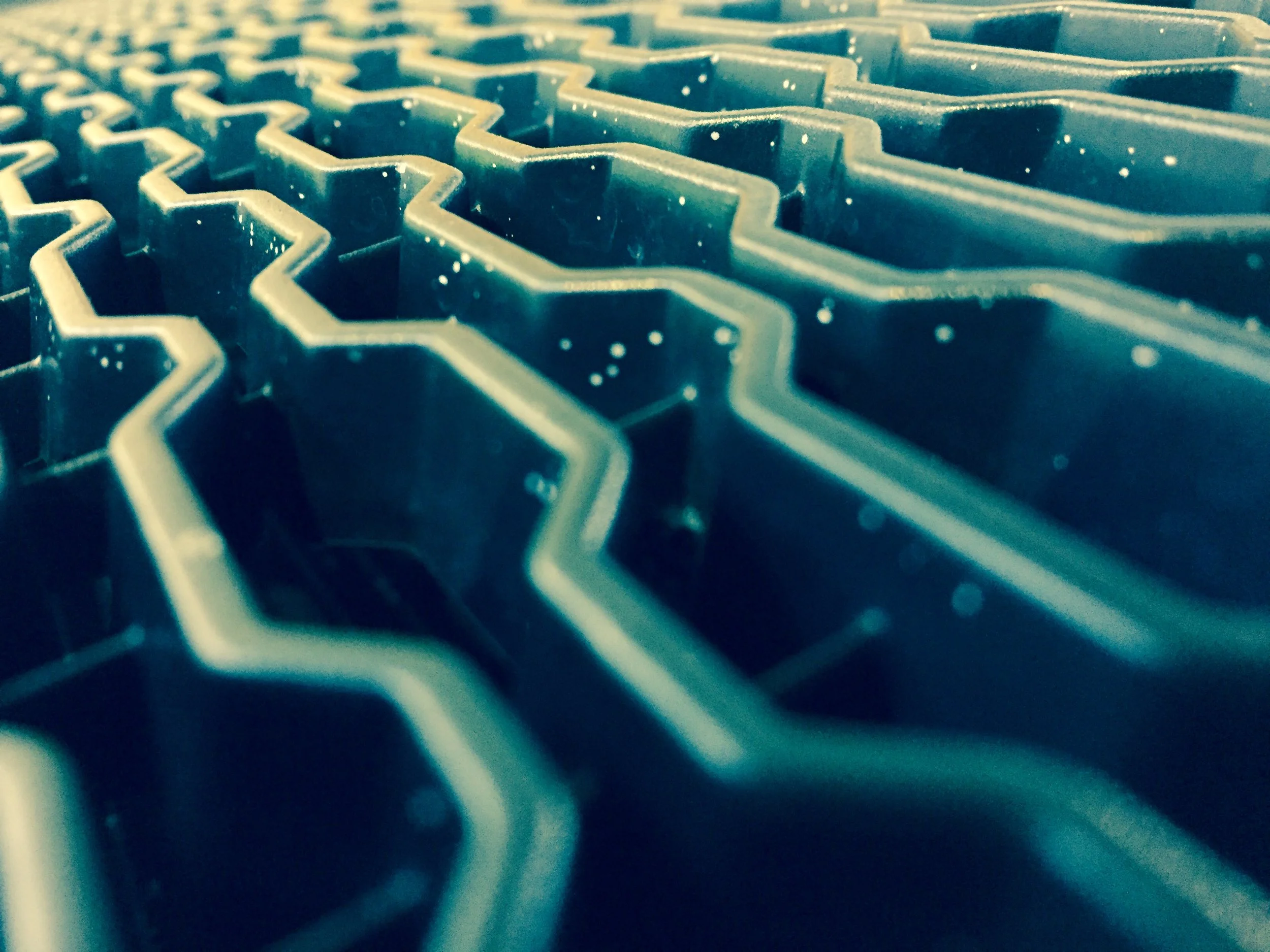 Lotus Hood Grill.jpg