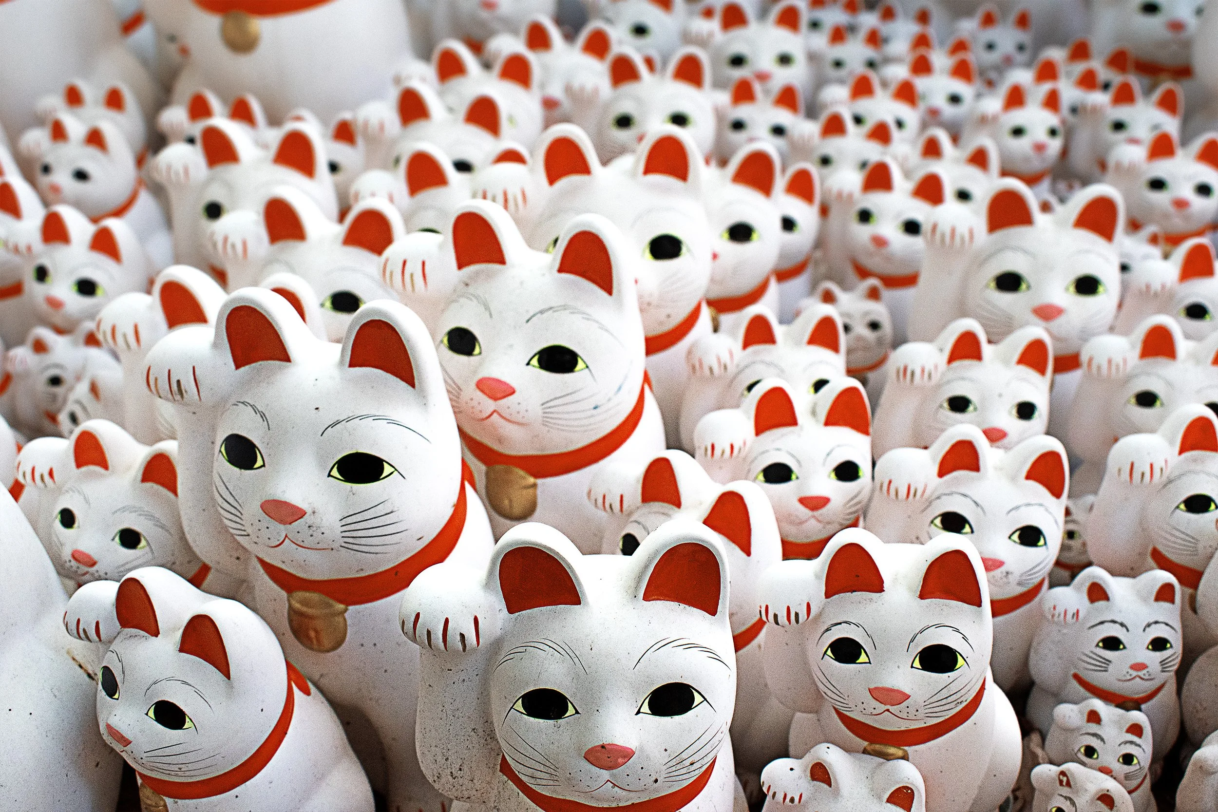 Gotojuki Temple - Lucky Neko Party2.jpg