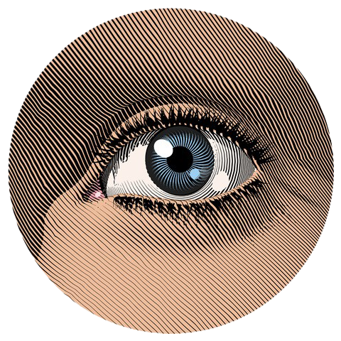 Waanzin. Een gids door de gekte