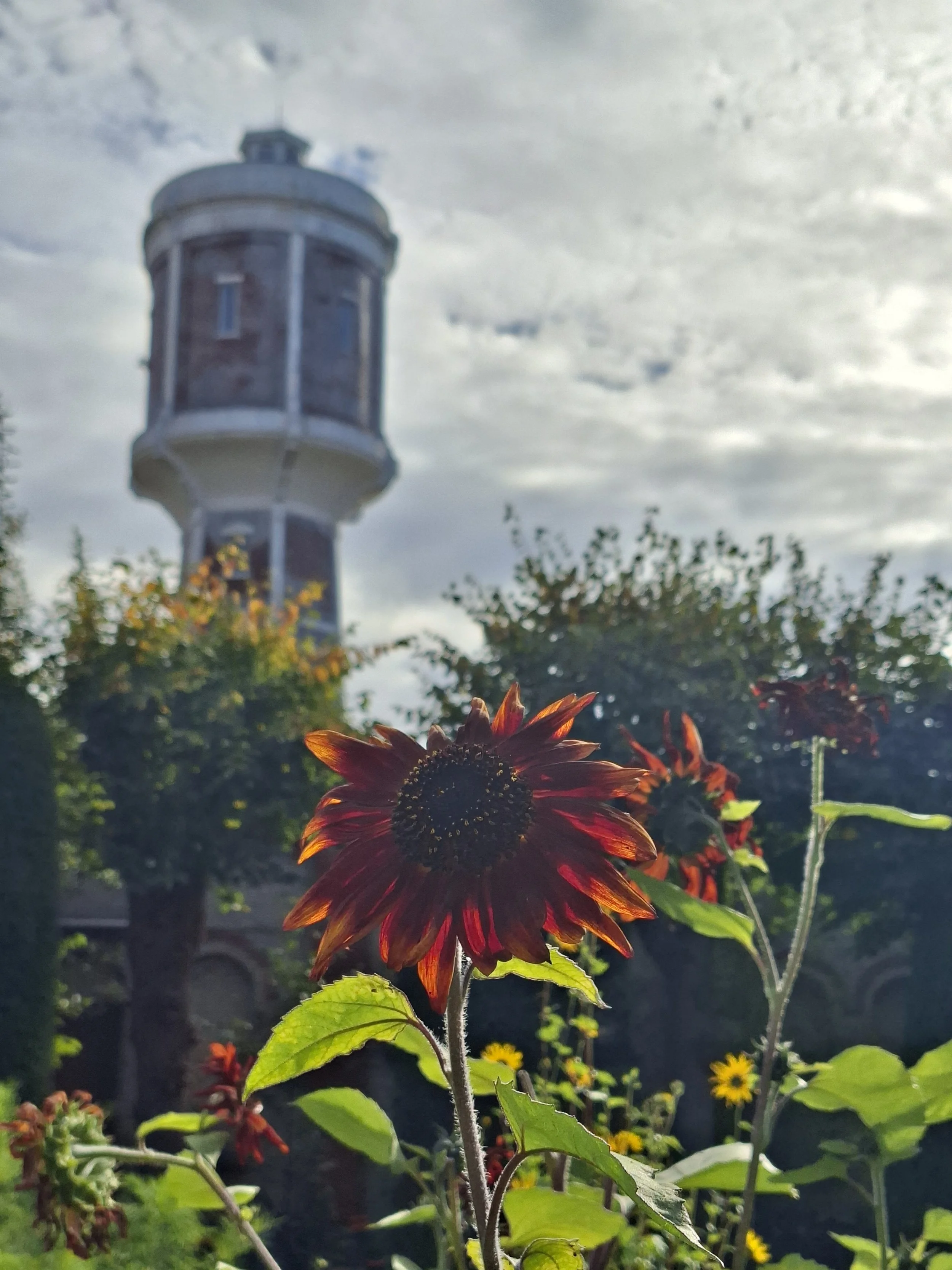 20250930_111110.jpg
