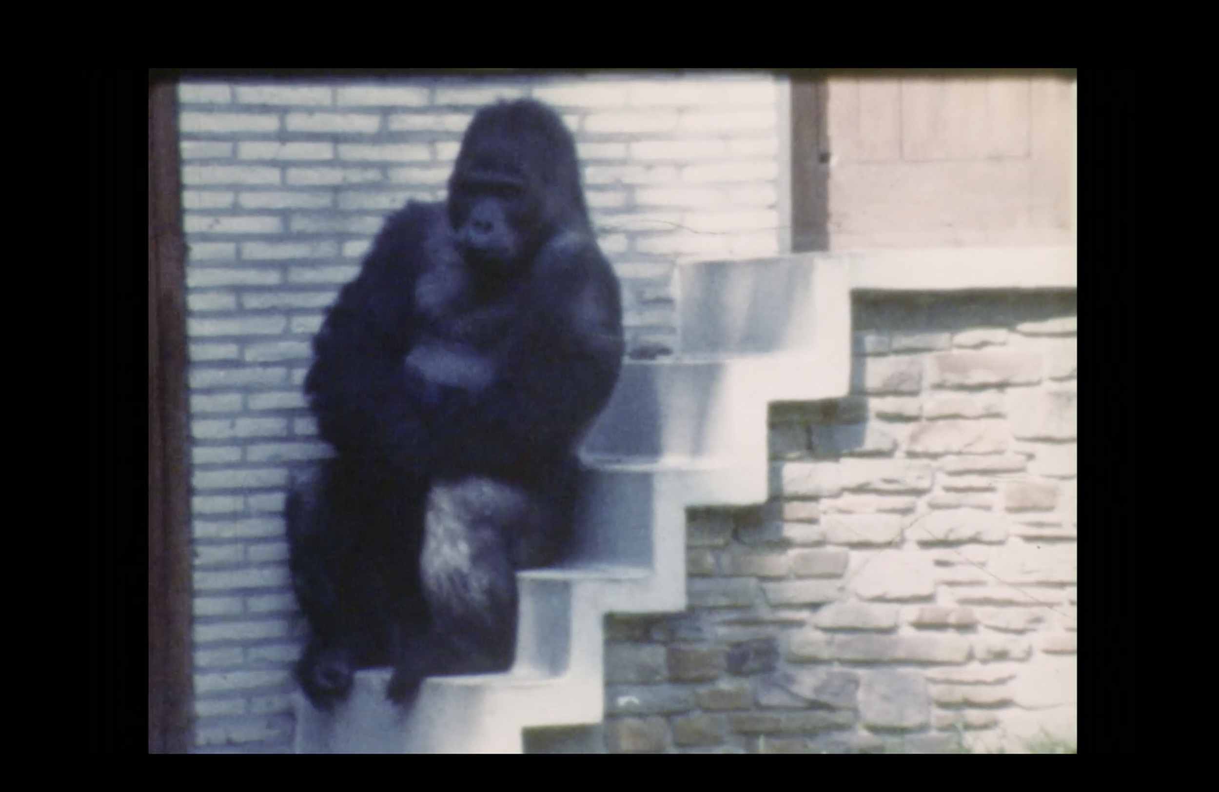 Cinema Offoff met Boris Lehman