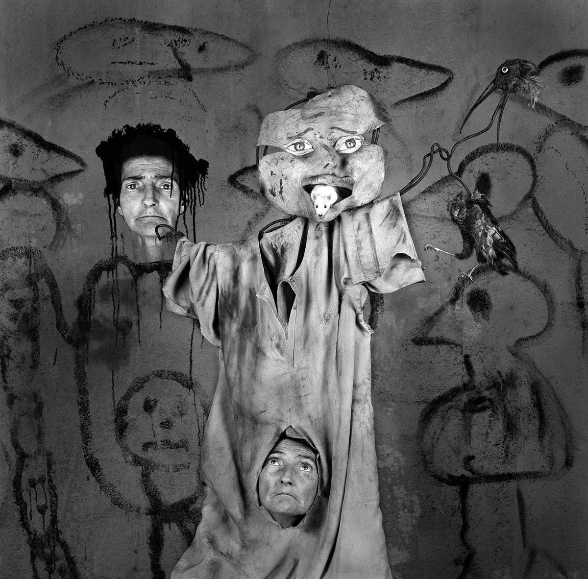 Cover Up_6218_2013 M no2.jpg