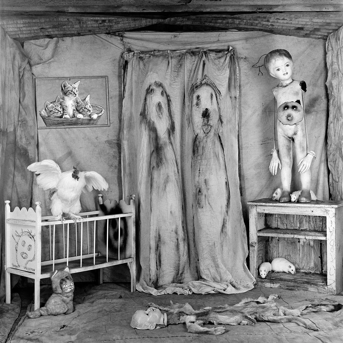 🐁
Vogels, ratten, lichamen, kamers, krassen, maskers; echt of niet echt? 

Dit is de wereld van Roger Ballen. Hier landt het Ballenesque theater en speelt het publiek mee op verzoek. De sc&egrave;nes zijn verwarrend, herkenbaar, tastbaar, absurd, aa