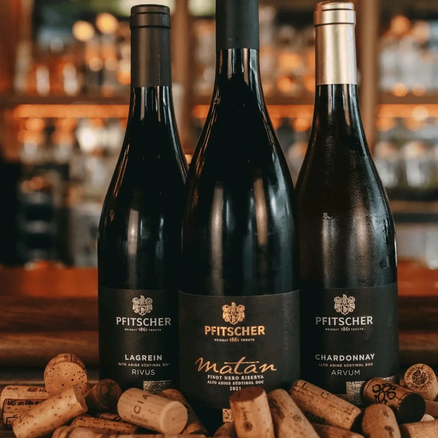 Entdecke und Erlebe mit uns die Welt der S&uuml;dtiroler Weine.

Terravigna, das Weingut Pfitscher und Theo's Gastropub laden ein.
Donnerstag, 26. M&auml;rz 2026

An diesen Abenden geniesst du einen Ap&eacute;ro am Tisch mit anschliessendem 4-Gang-Me