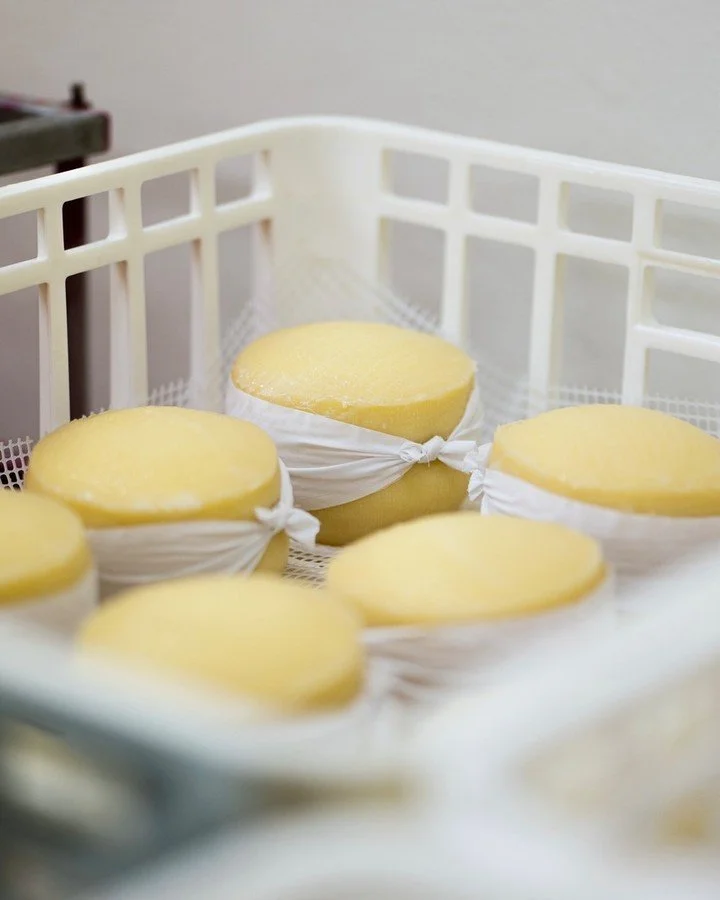 Um bom queijo n&atilde;o tem pressa.
E talvez seja esse o seu maior segredo. ✨🧀