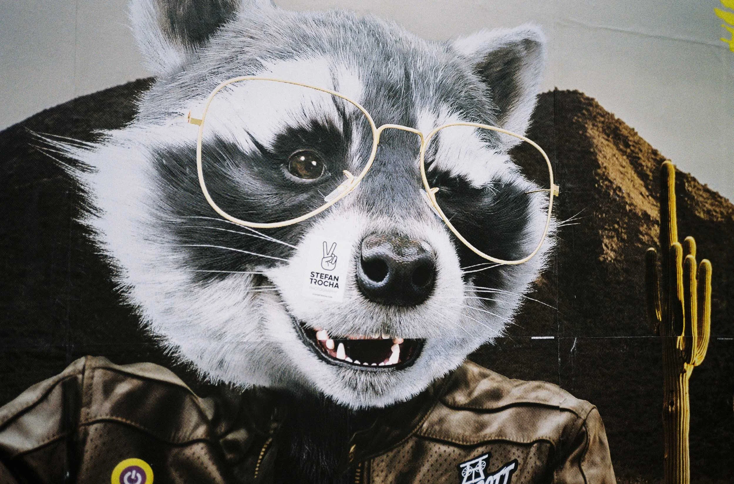 COOLE BRILLE