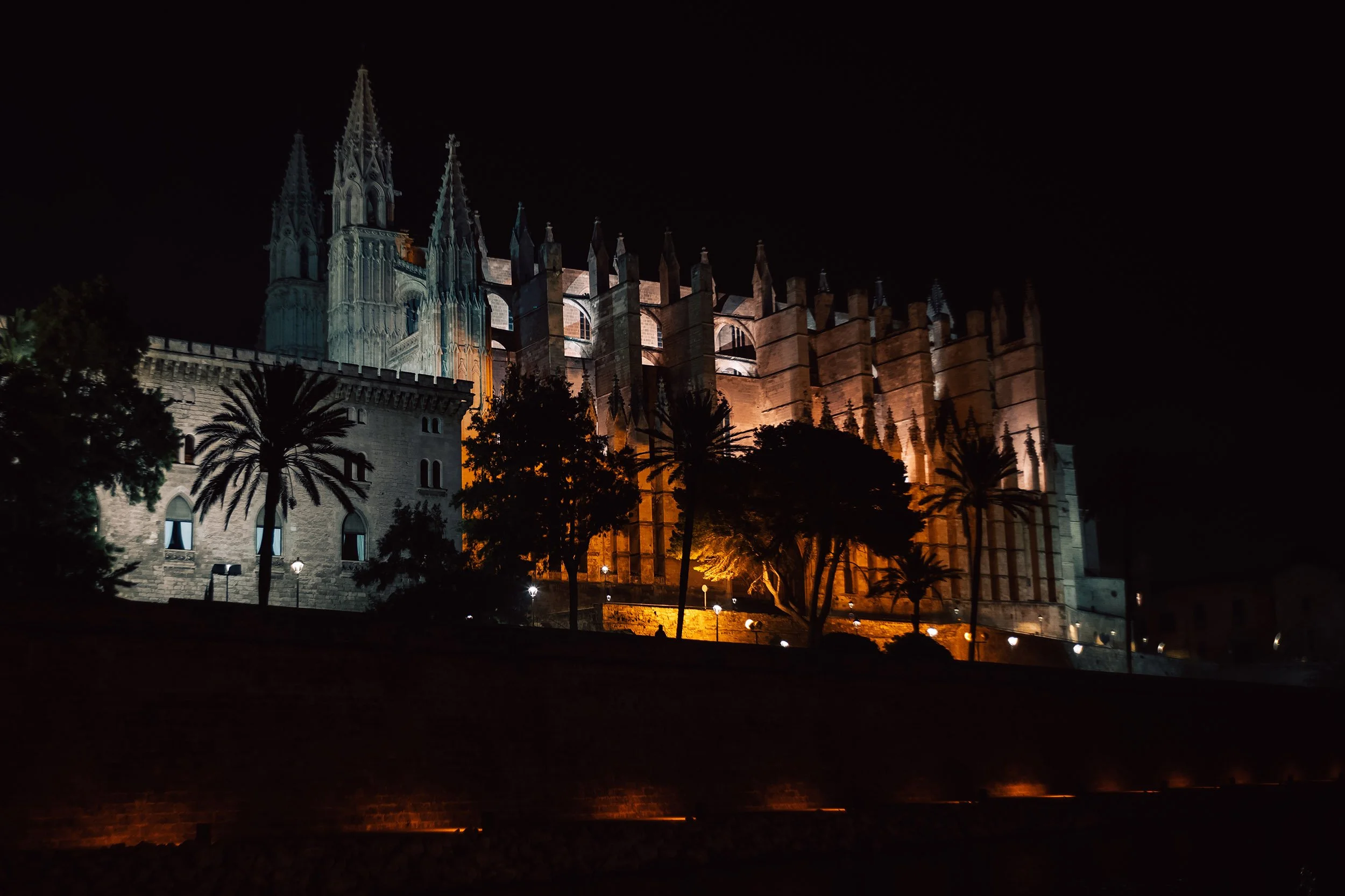 PALMA