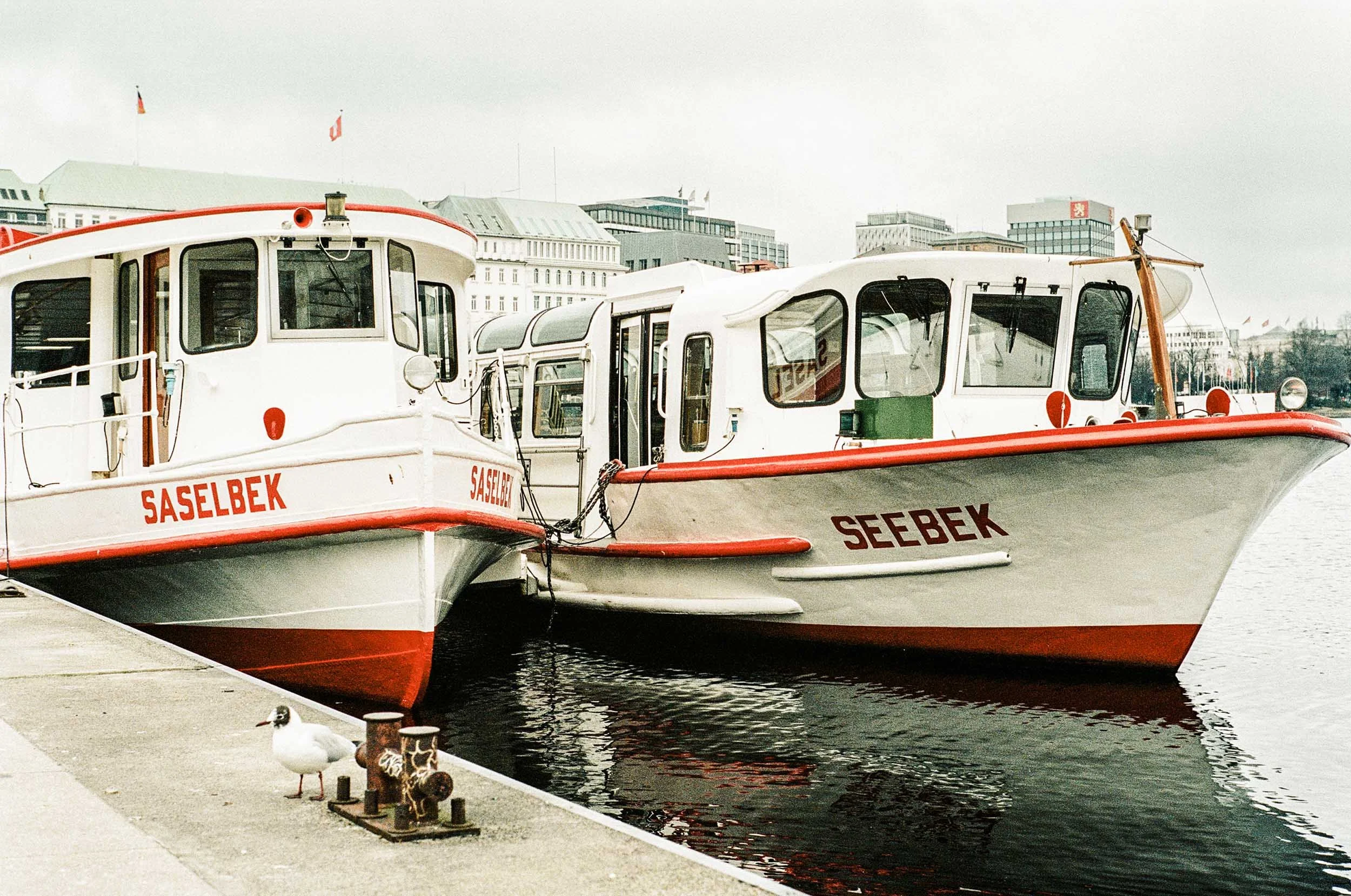 LEICA M6 & PORTRA 400
