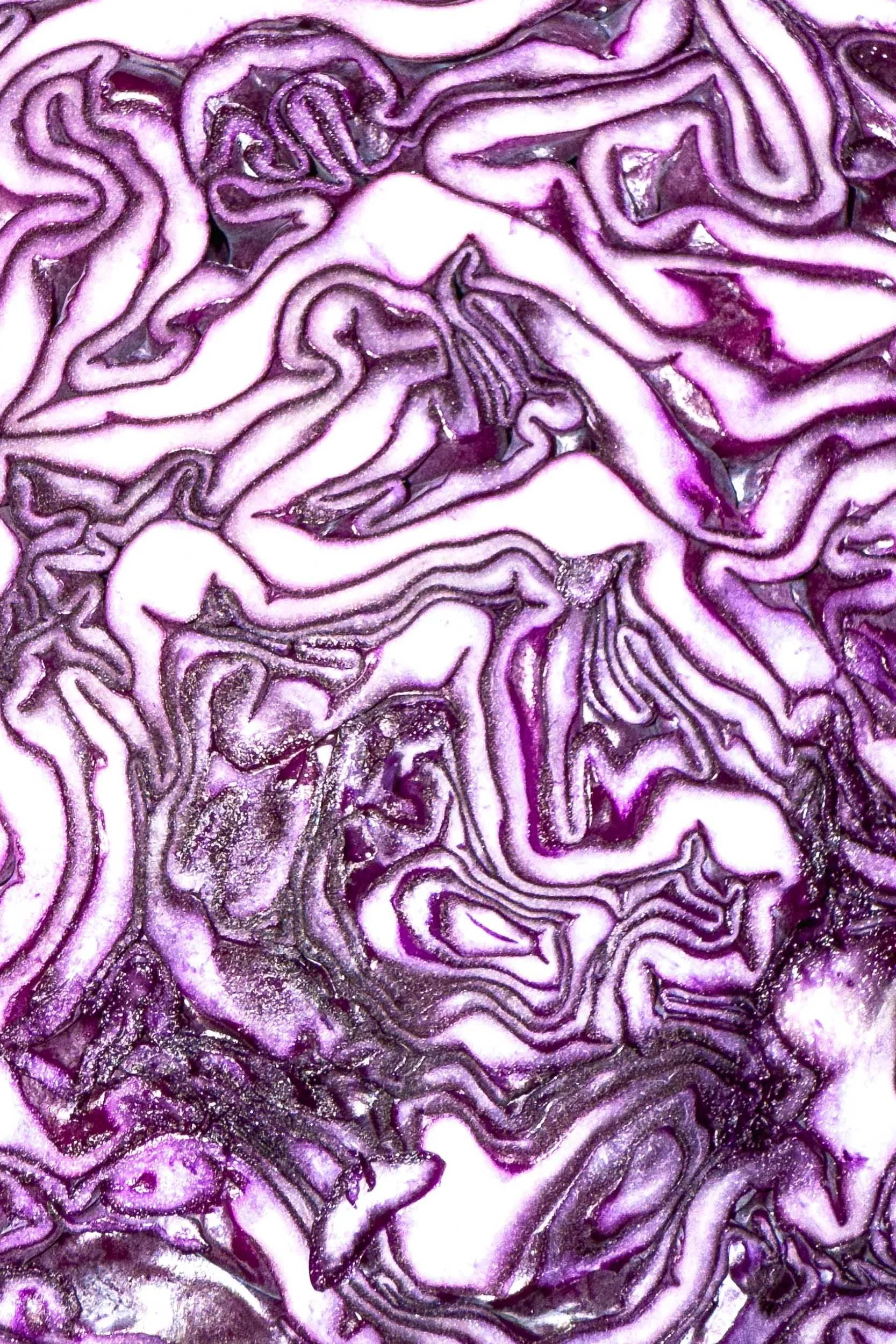 FRAU ROTKOHL