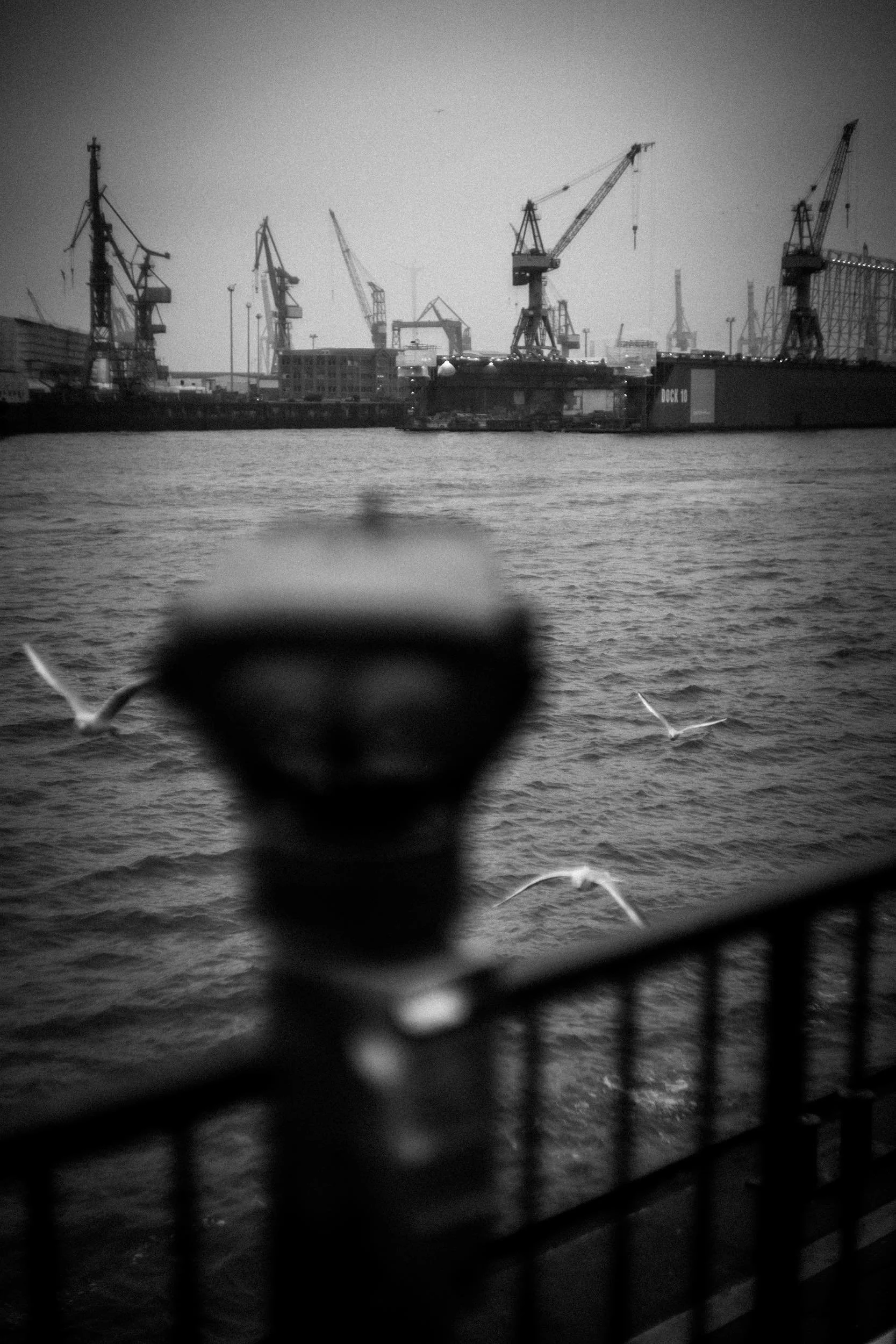 DOCK 10