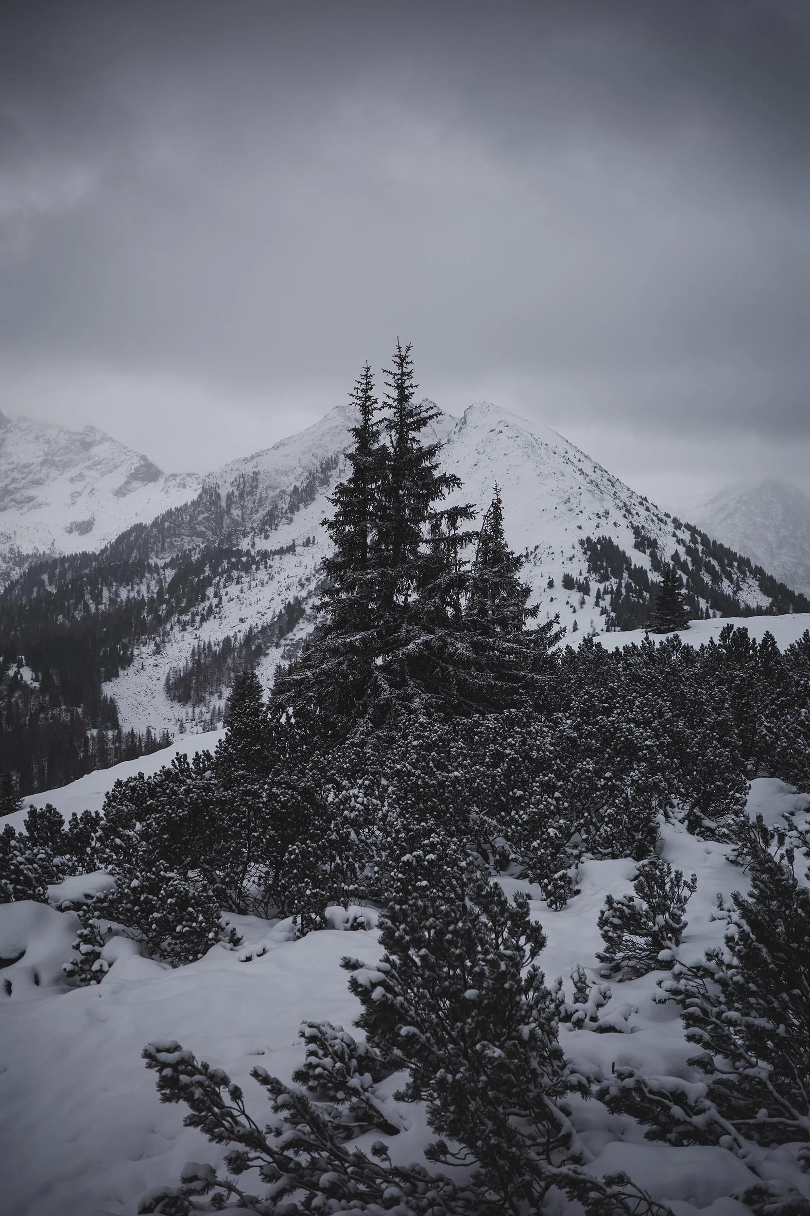 WIE GESTERN, NUR ANDERS