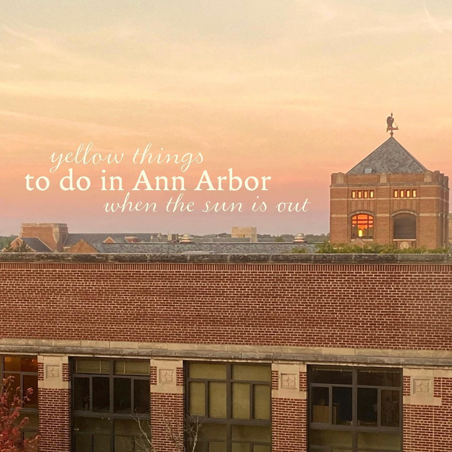 Now that spring is here, here are four yellow things to do in Ann Arbor.

Content: @htwomey 
Design: @kayleekaems