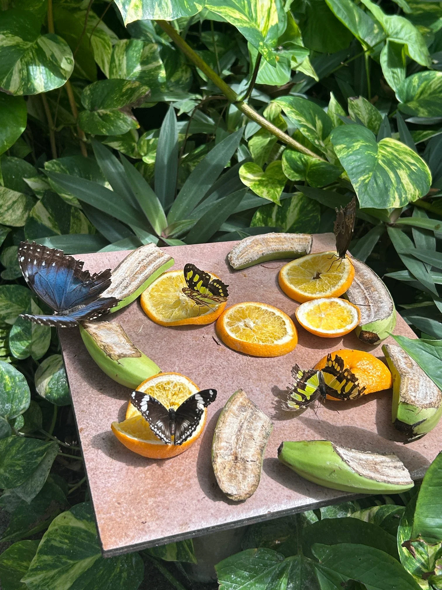 Buy or Bye: Trending Gut-Health Products