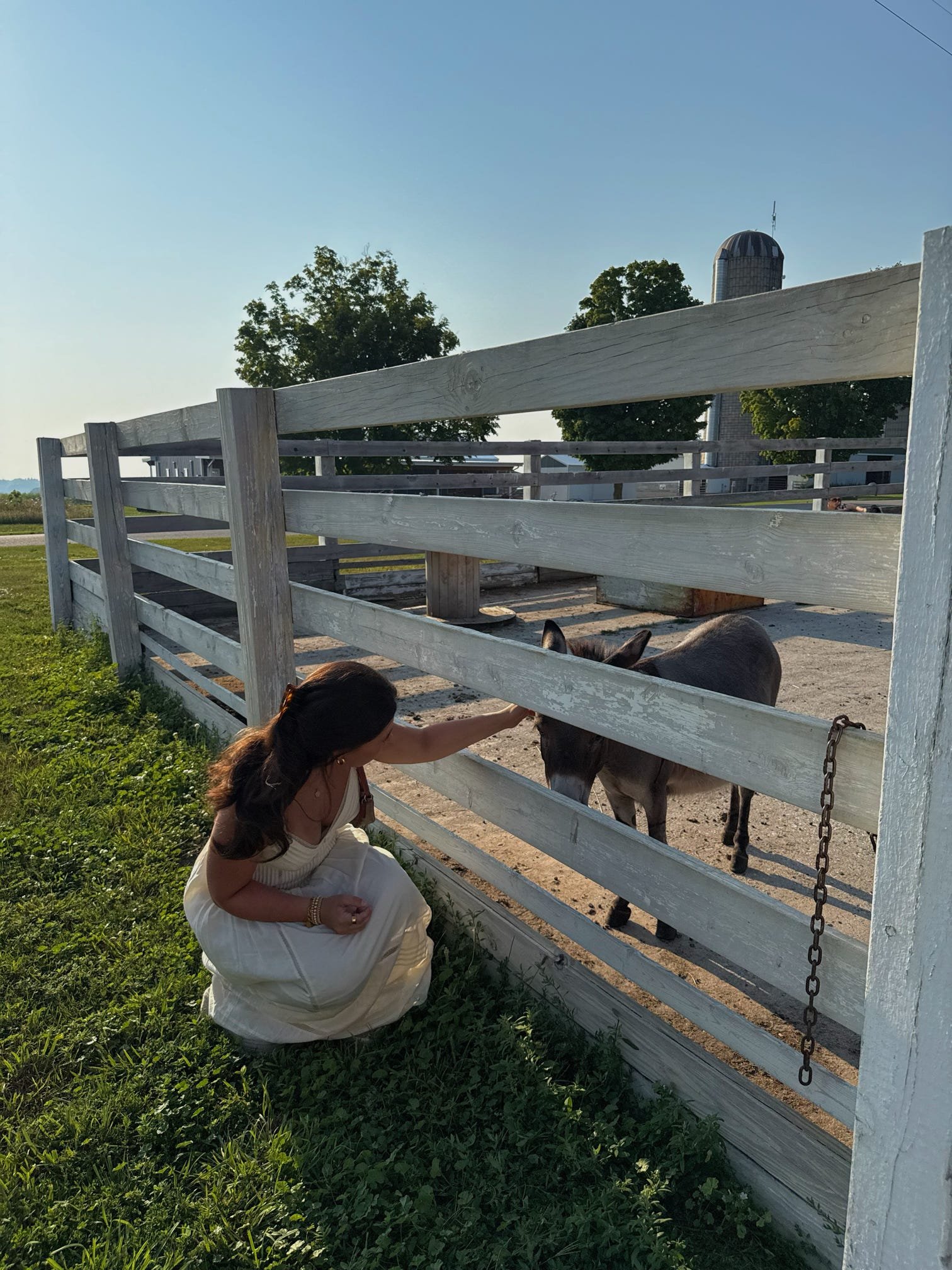 Growing Into My Eyebrows