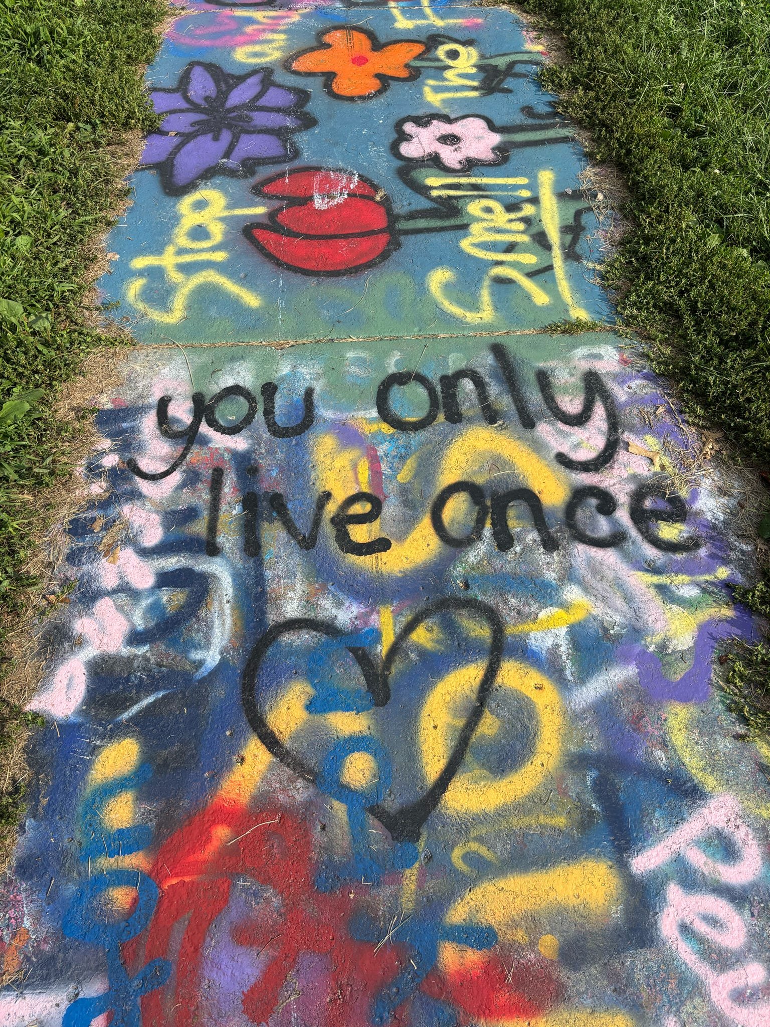 Why Not? You Only Live Once!