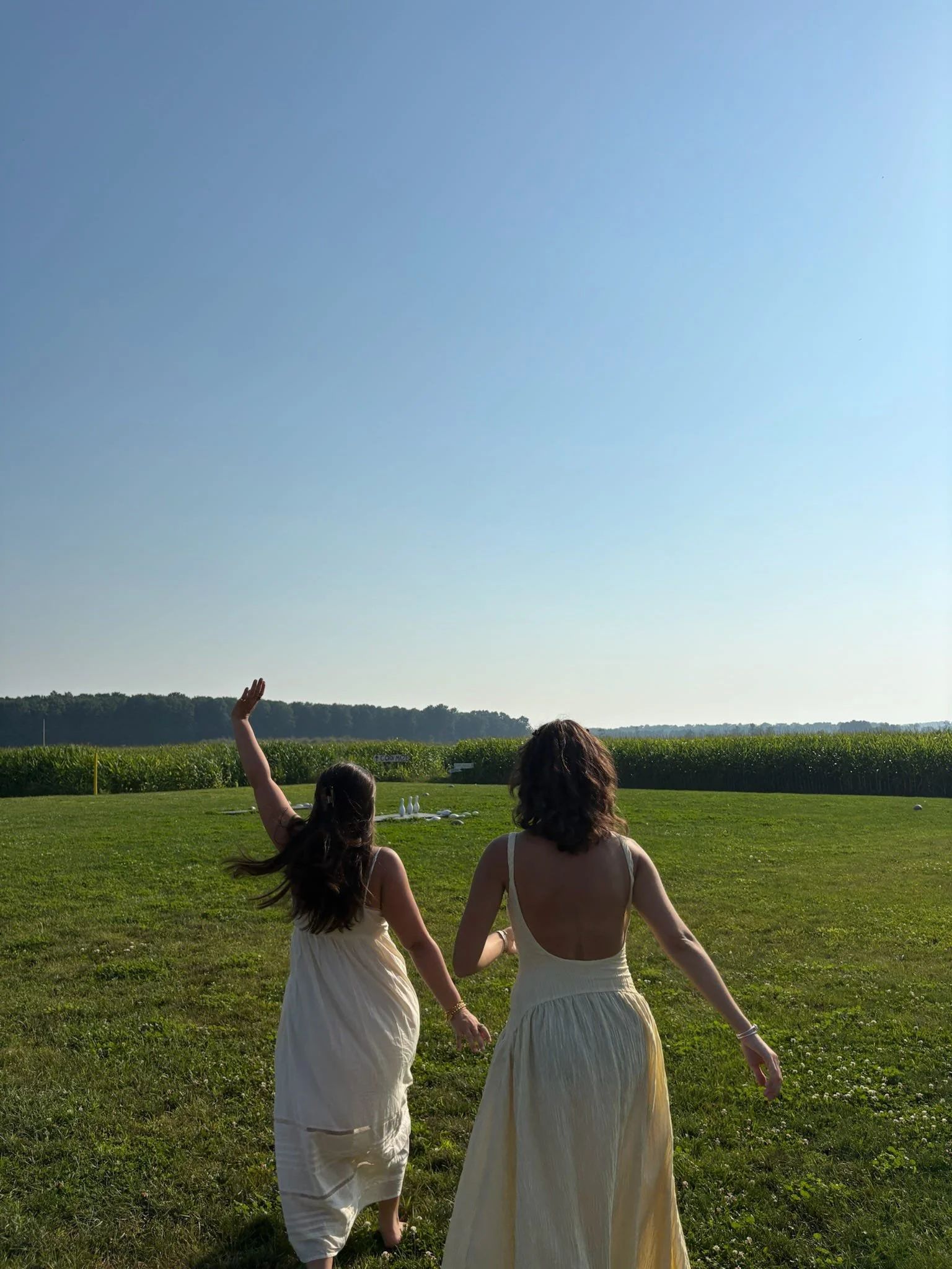 The Over-glorification of “Rotting”