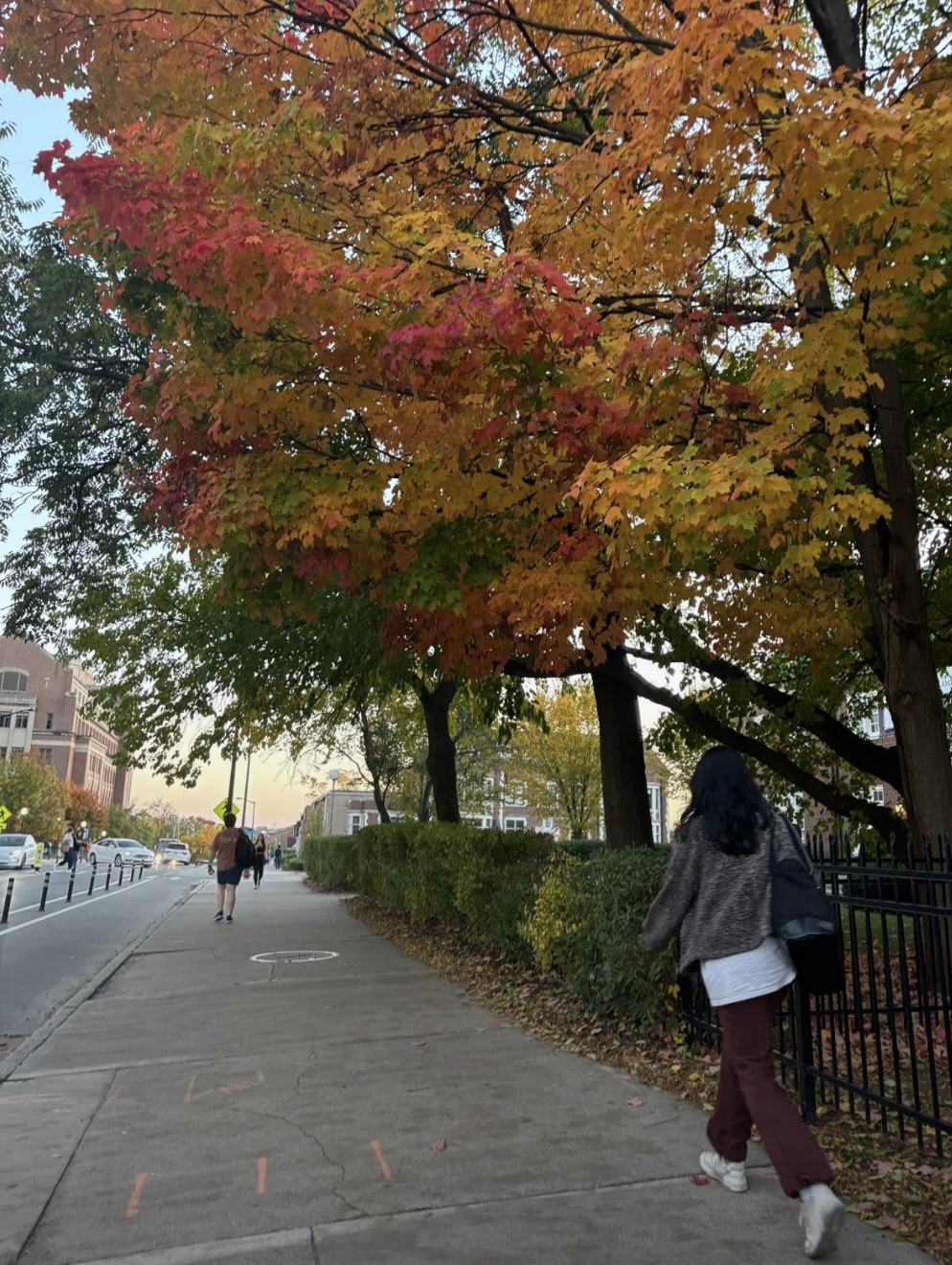 In Defense of Rory Gilmore