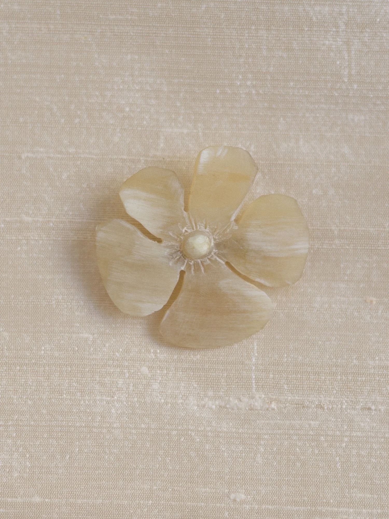 horn flower.jpg