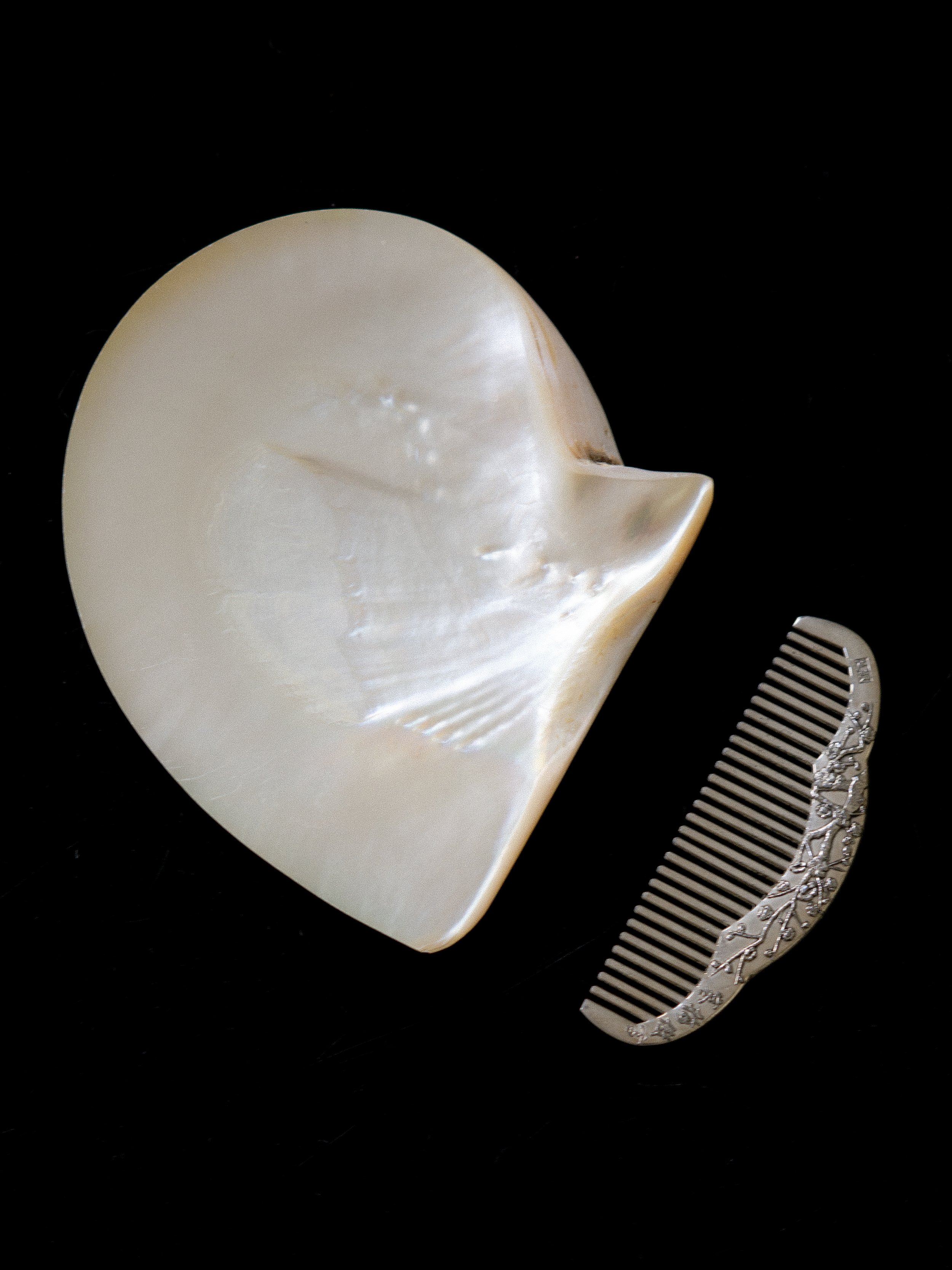 beak-motherofpearl dish-2.jpg