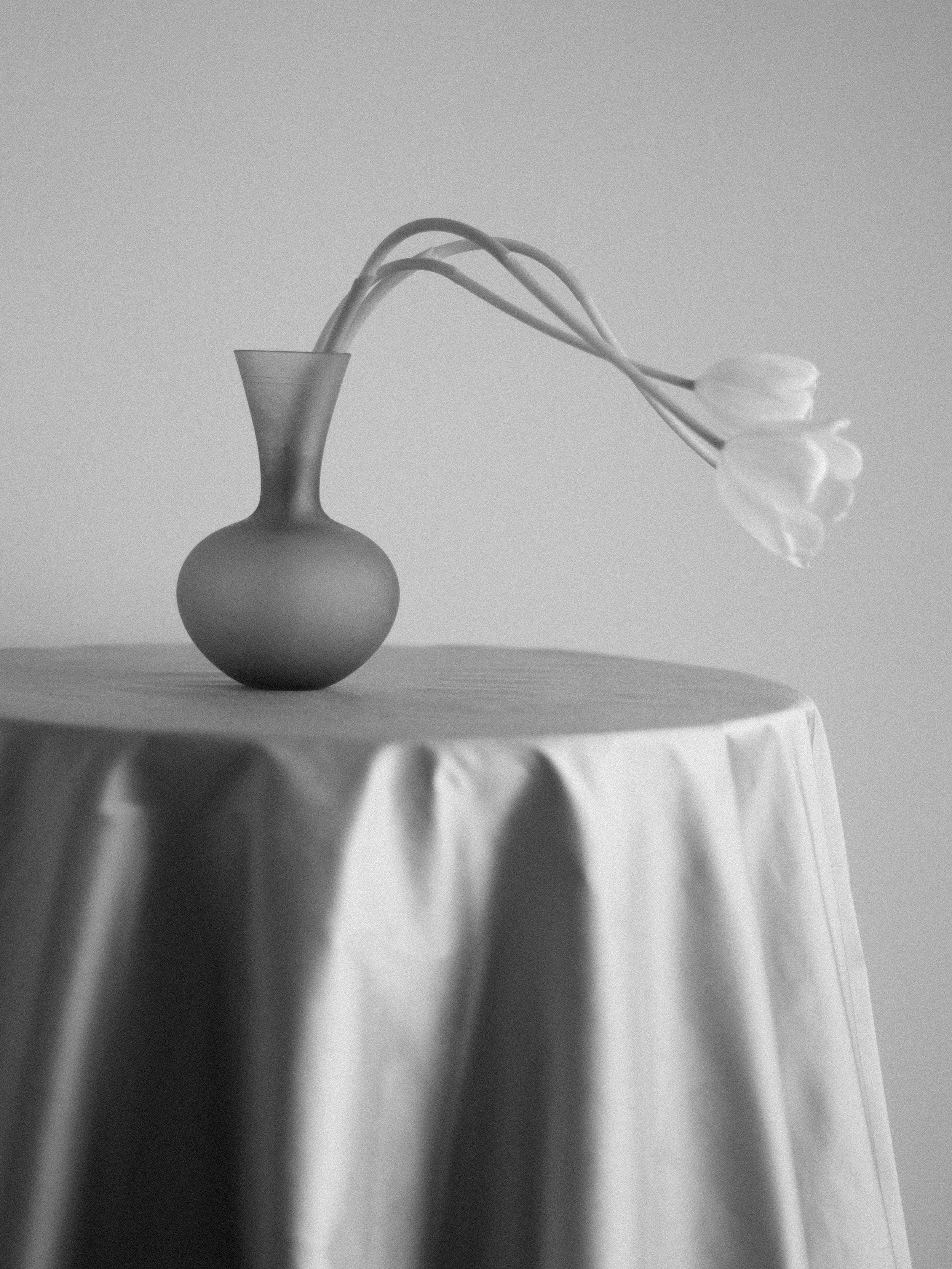 vase-matte-2.jpg