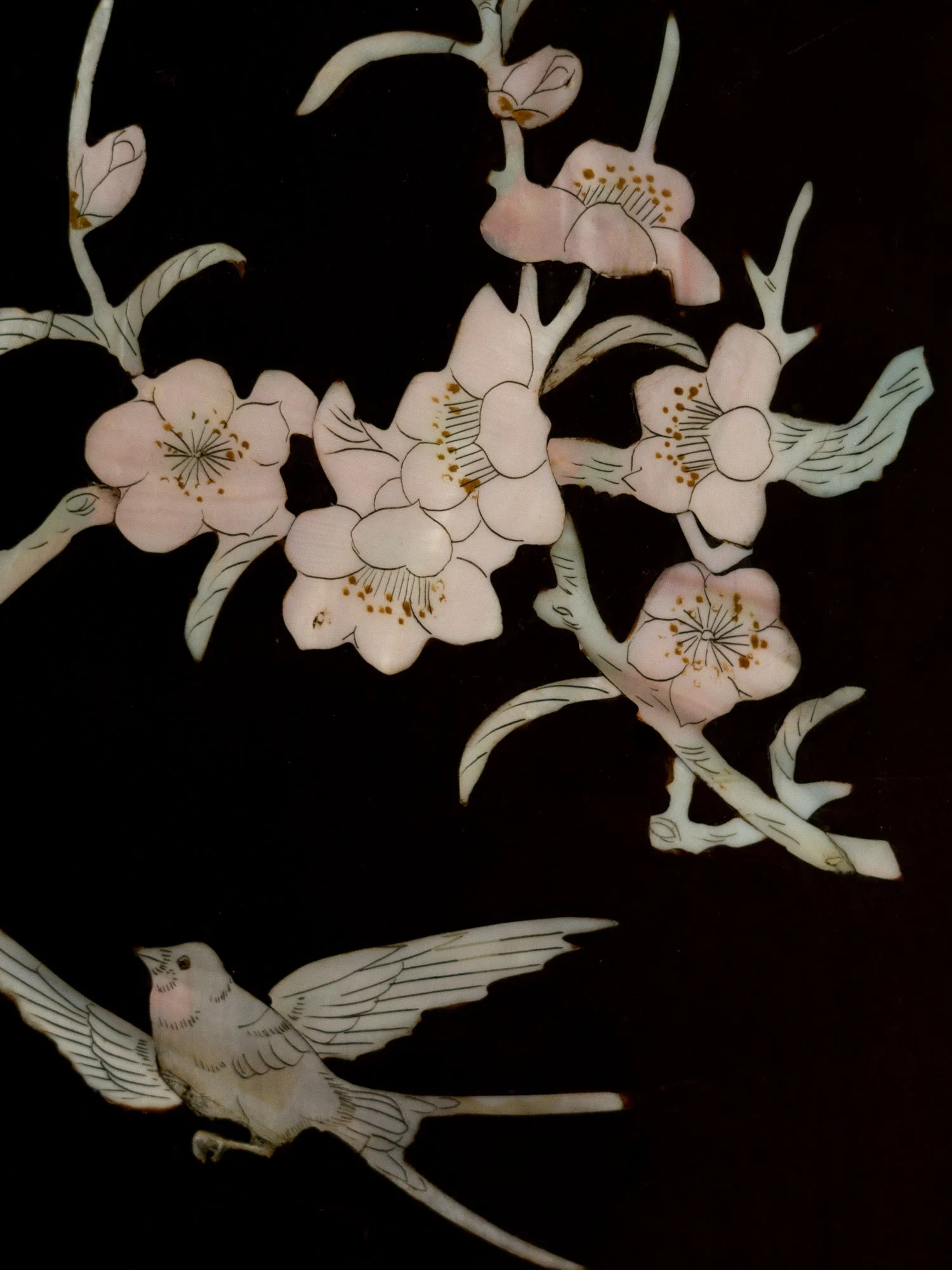 lace-mother-of-pearl-inlay-14.jpg