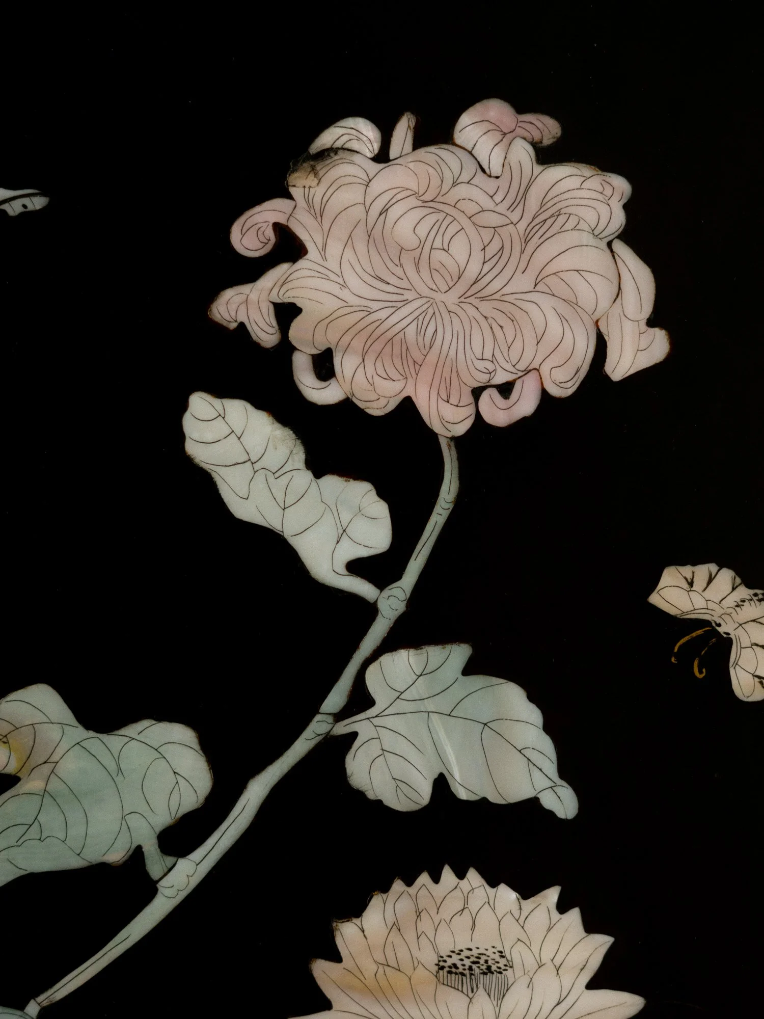 lace-mother-of-pearl-inlay-8.jpg