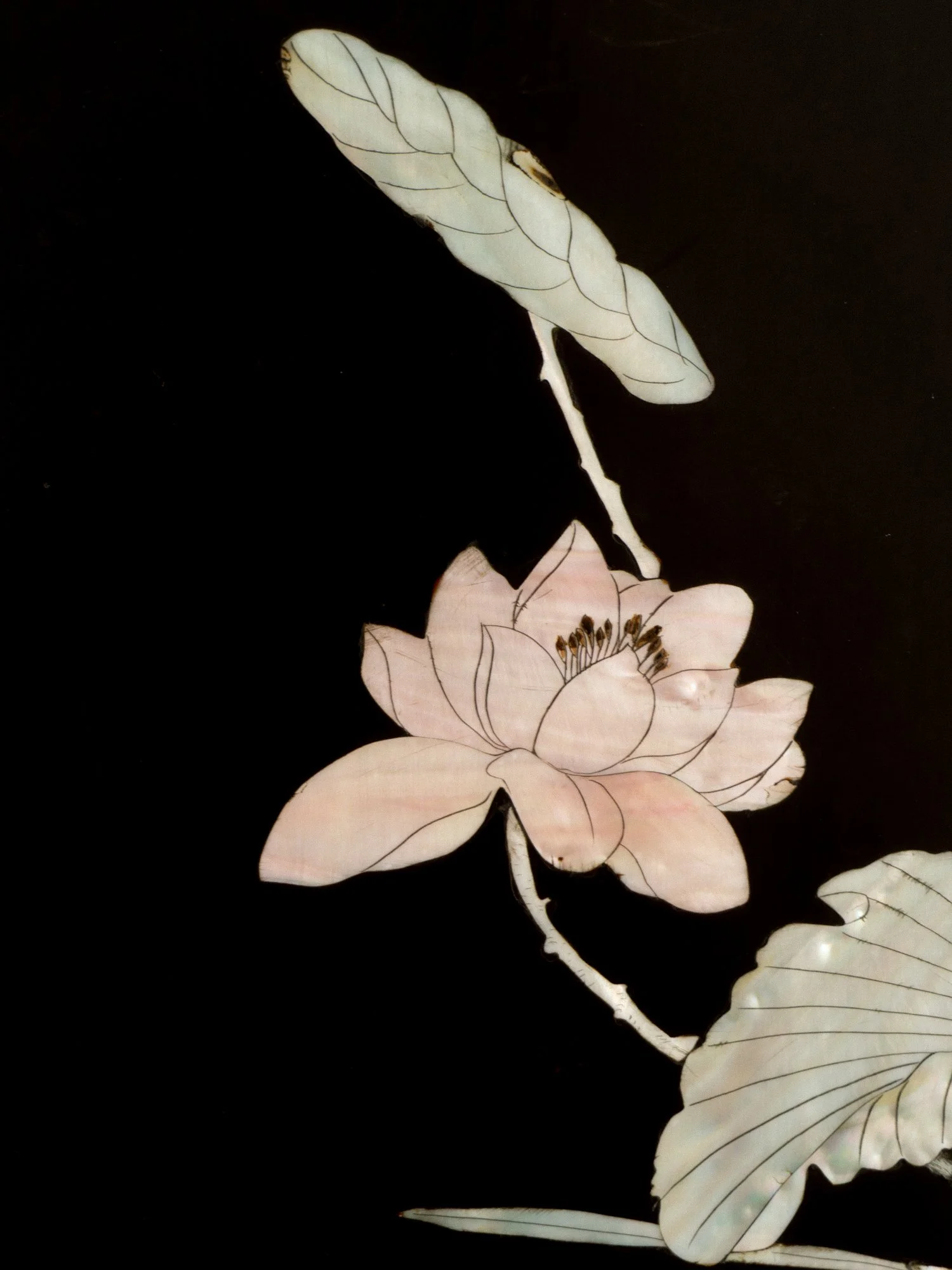 lace-mother-of-pearl-inlay-5.jpg