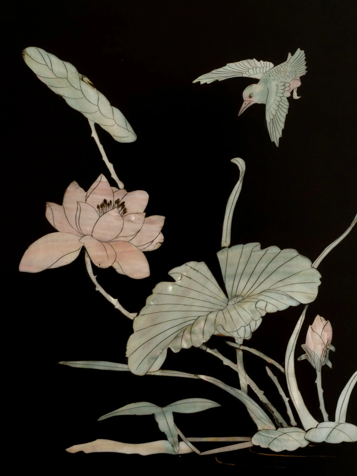 lace-mother-of-pearl-inlay-4.jpg