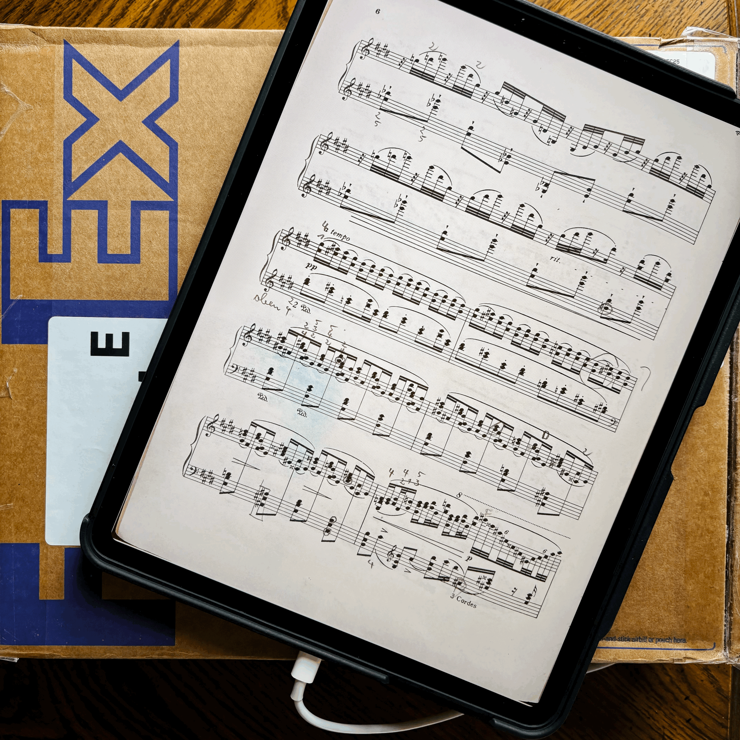 The Layover, the Lost iPad, and the Backup I Finally Made