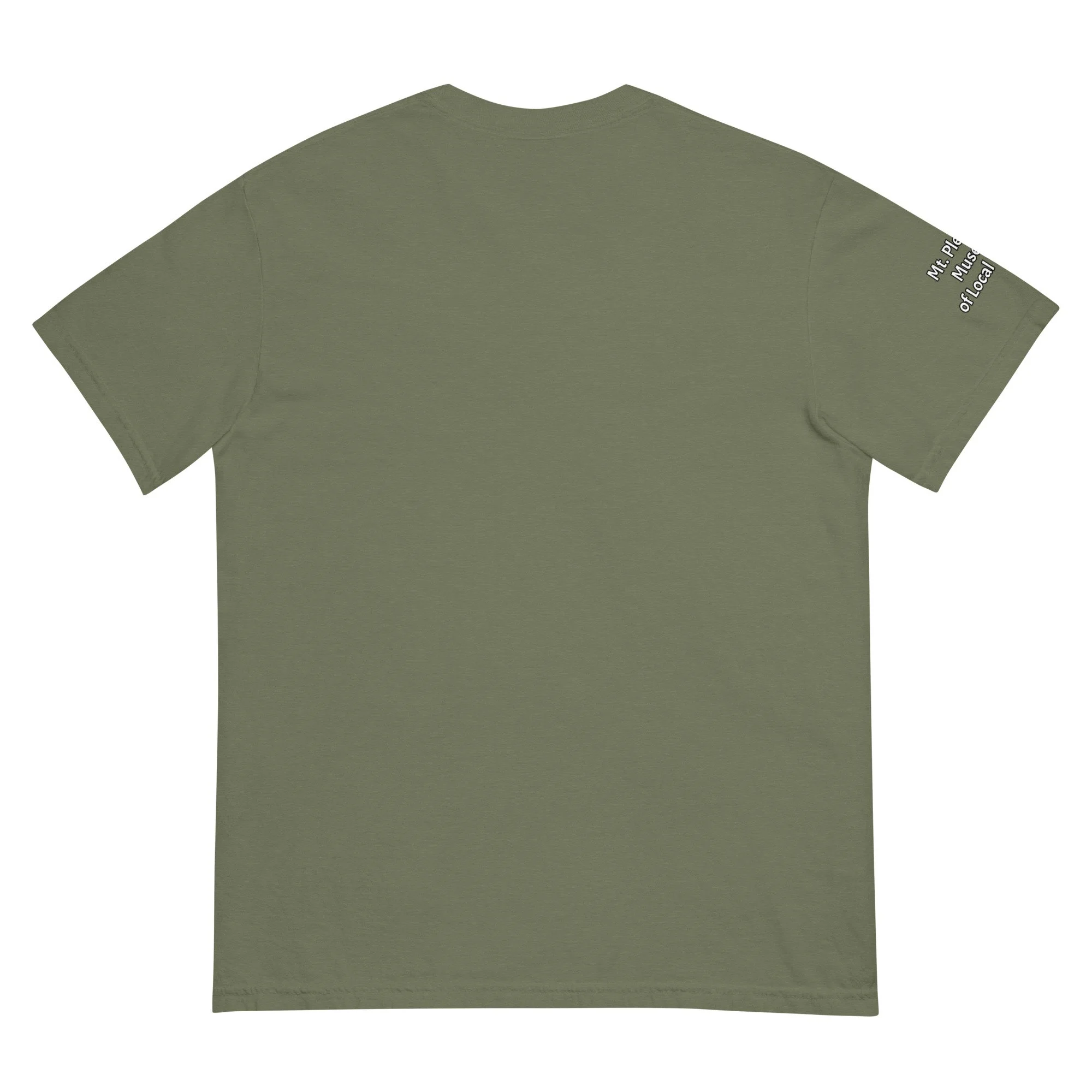 unisex-garment-dyed-heavyweight-t-shirt-moss-back-6726732fd2661.jpg