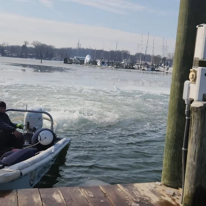 They are out today breaking up some of the ice in the marina. It's a nice sunny day and 45&deg; out. No hat and no gloves for me. I'm enjoying it!

#sailingmarywaters #sailinglife #livingaboard